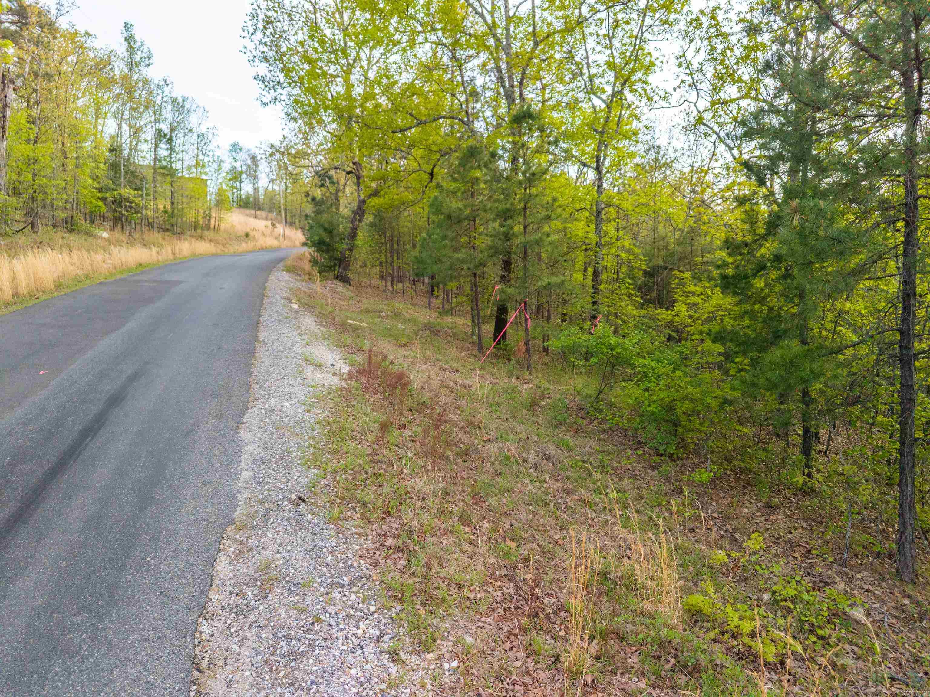 Hot Springs Unplatted - Land