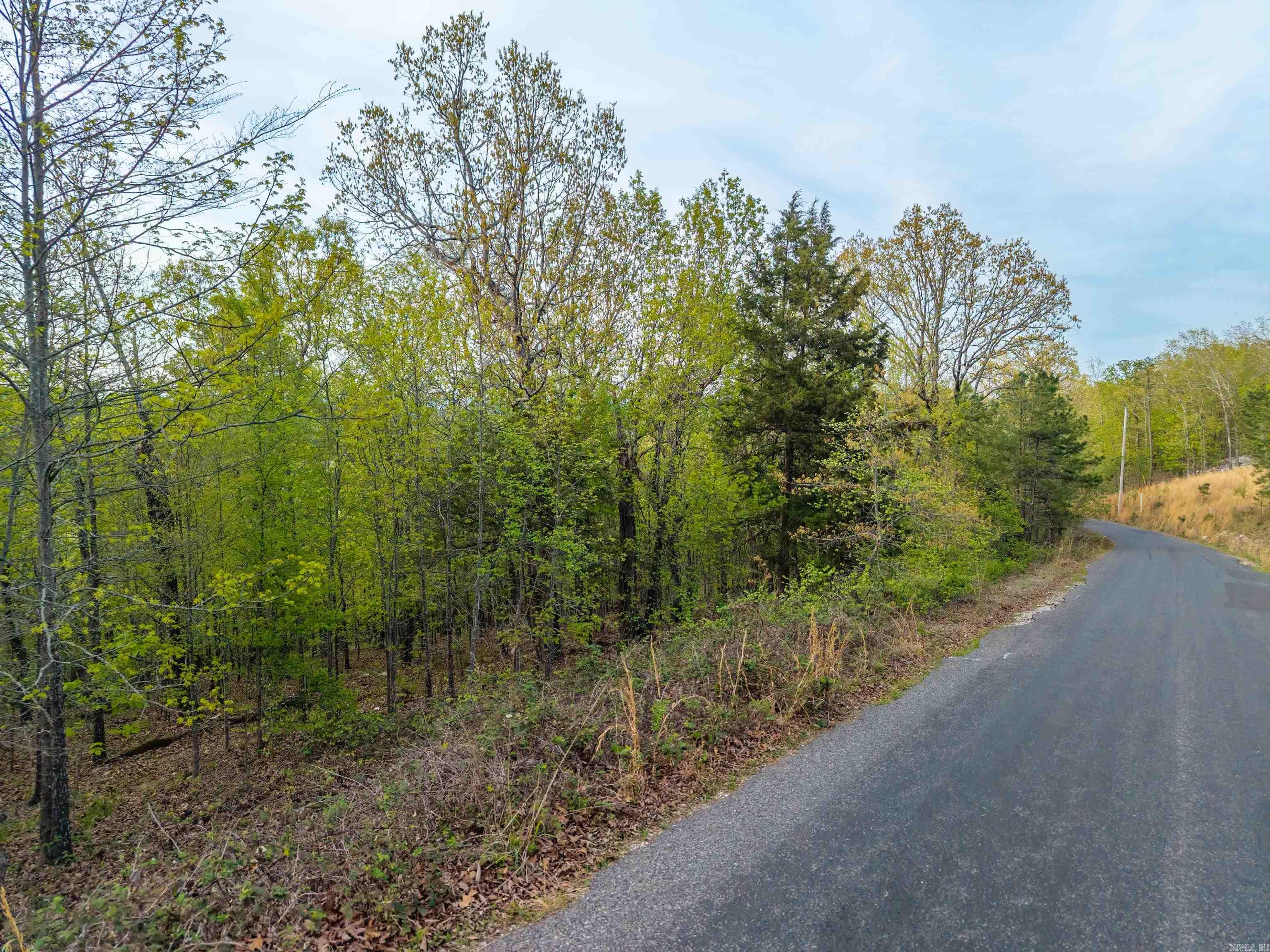 Hot Springs Unplatted - Land