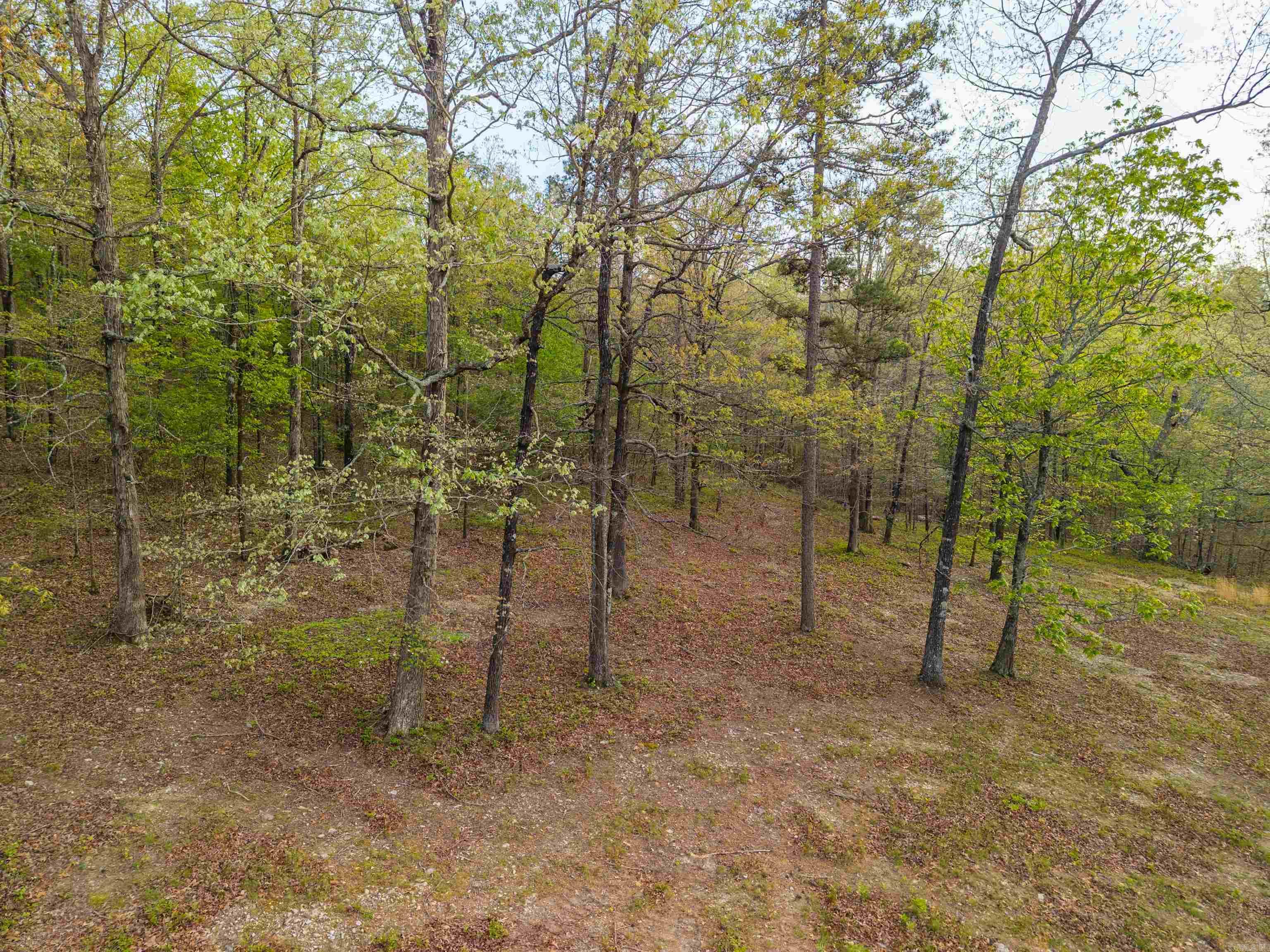 Hot Springs Unplatted - Land