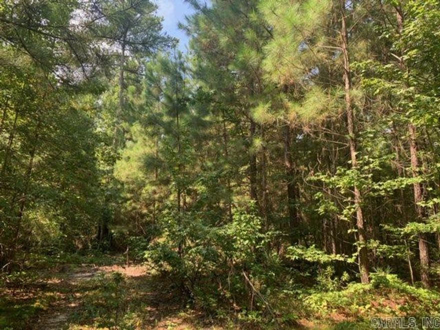 Welcome to beautiful Oklahoma Inn Estates! This wooded lot is perfect for a private home spot, but conveniently located for quick access to the interstate, schools, and shopping. Minimum 2,000 square ft homes can be constructed and shops are allowed with restrictions.