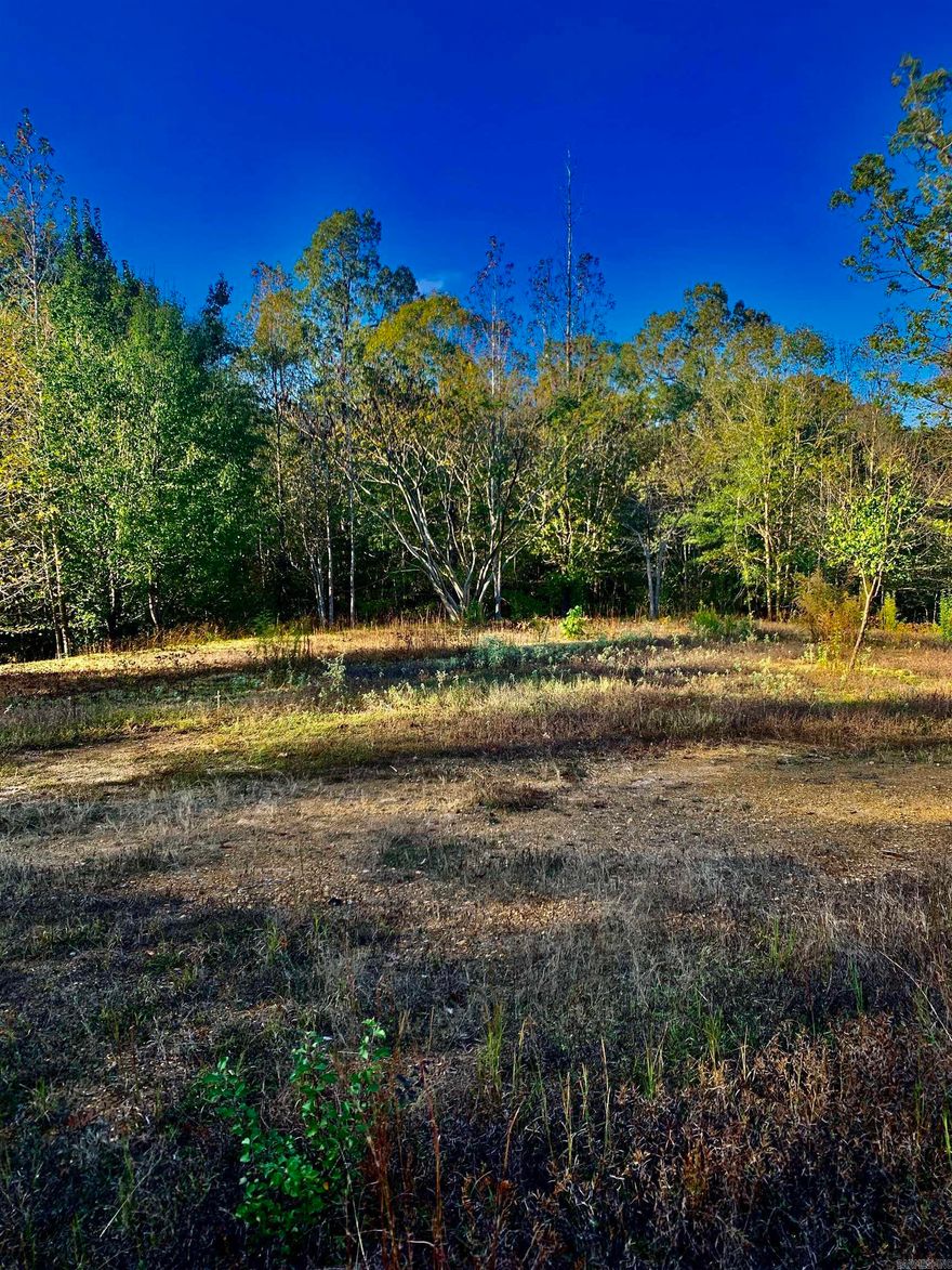 OUTSIDE CITY LIMITS**MOBILE HOMES ALLOW**Take a look at this nice 1.35 acres**cleared & ready to build your new home or a great location for your mobile home.**Septic & water on property, but condition unknown **go and see at any time**