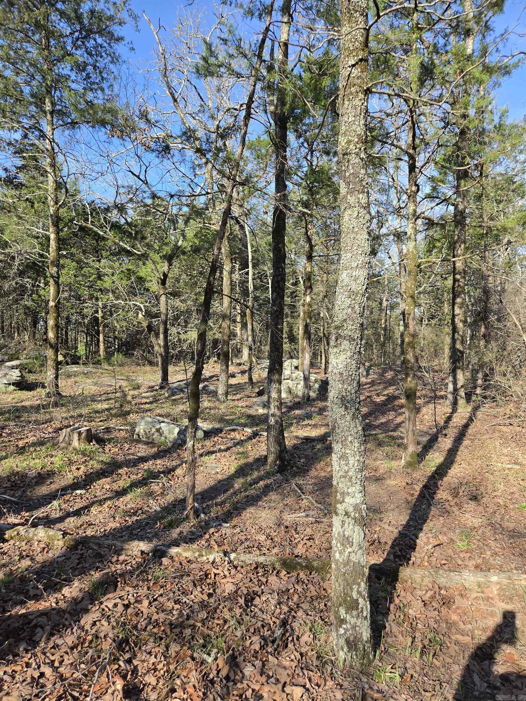 Metes & Bounds - Land