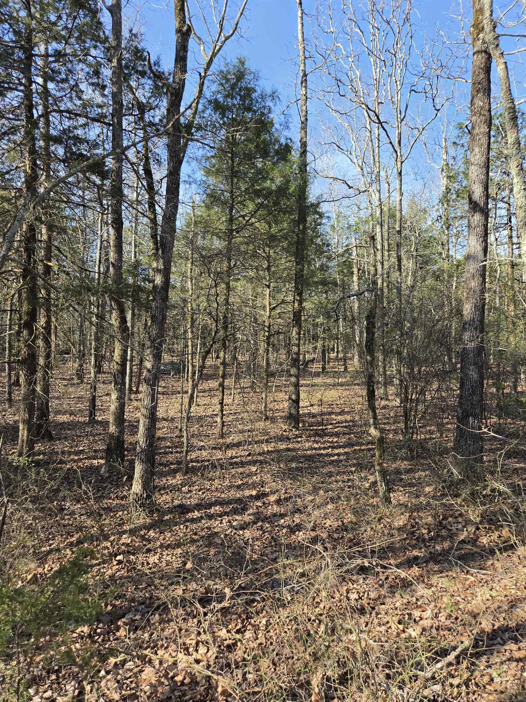 Metes & Bounds - Land