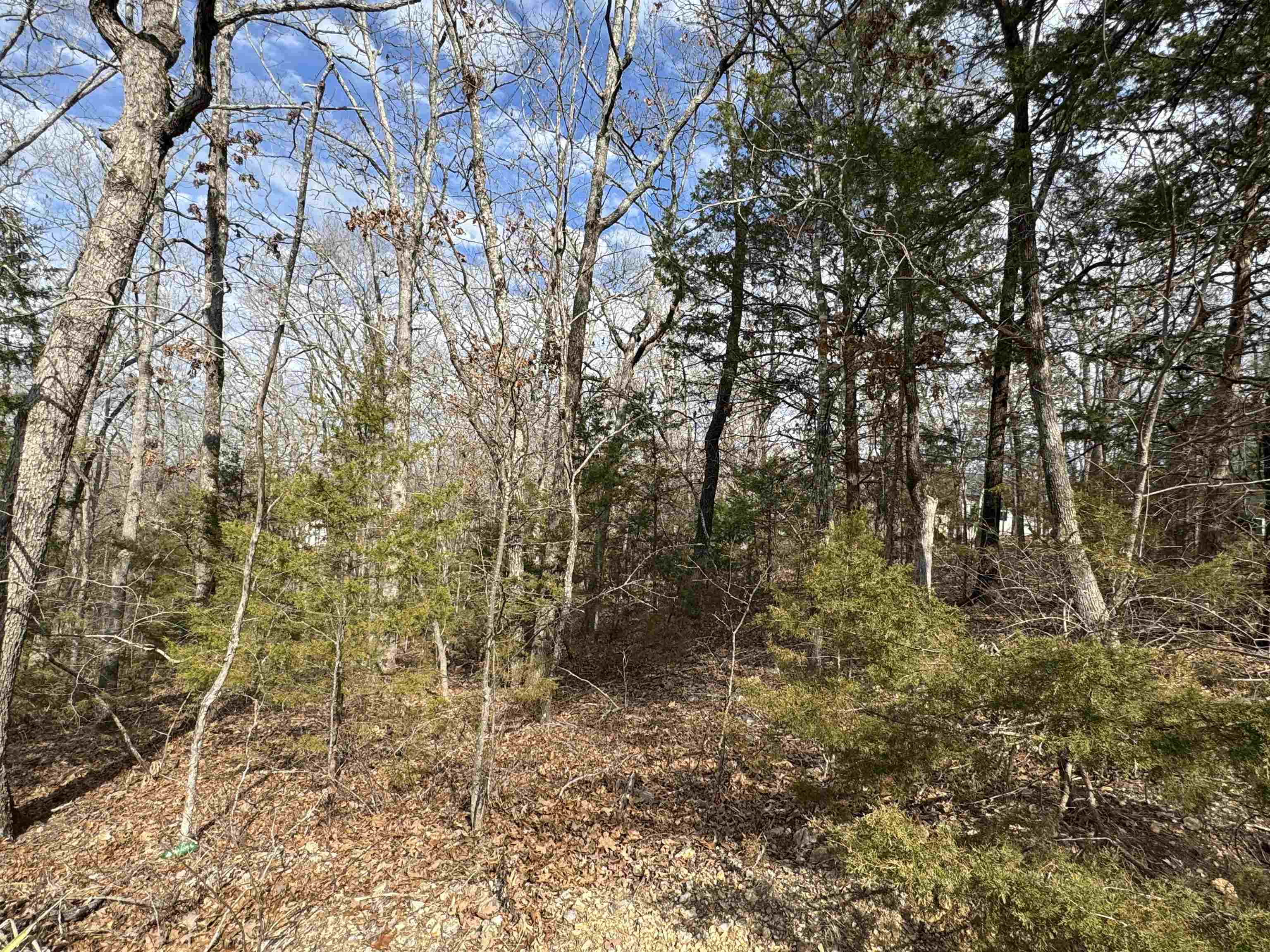 McDonald Meadows - Land