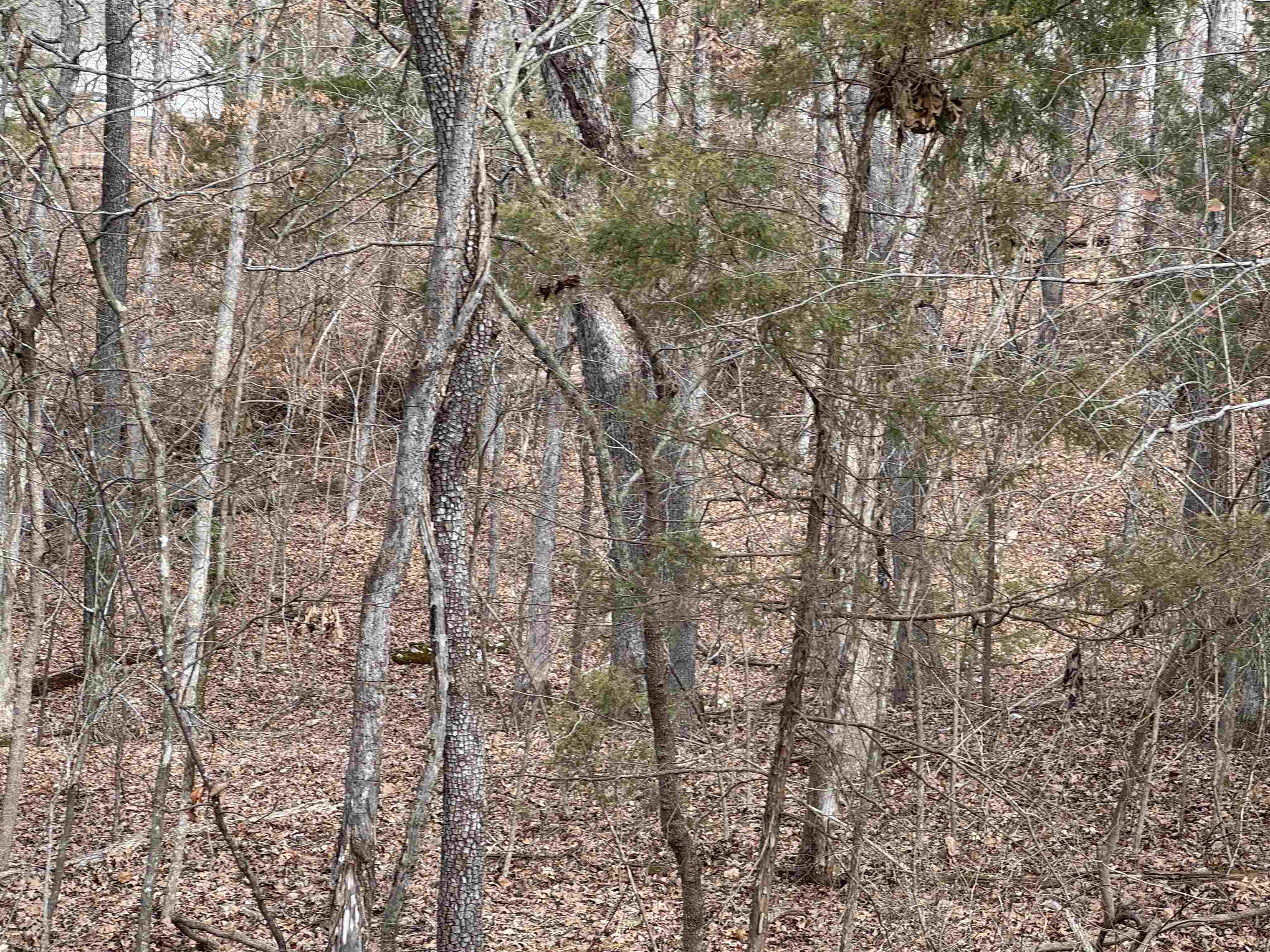 McDonald Meadows - Land