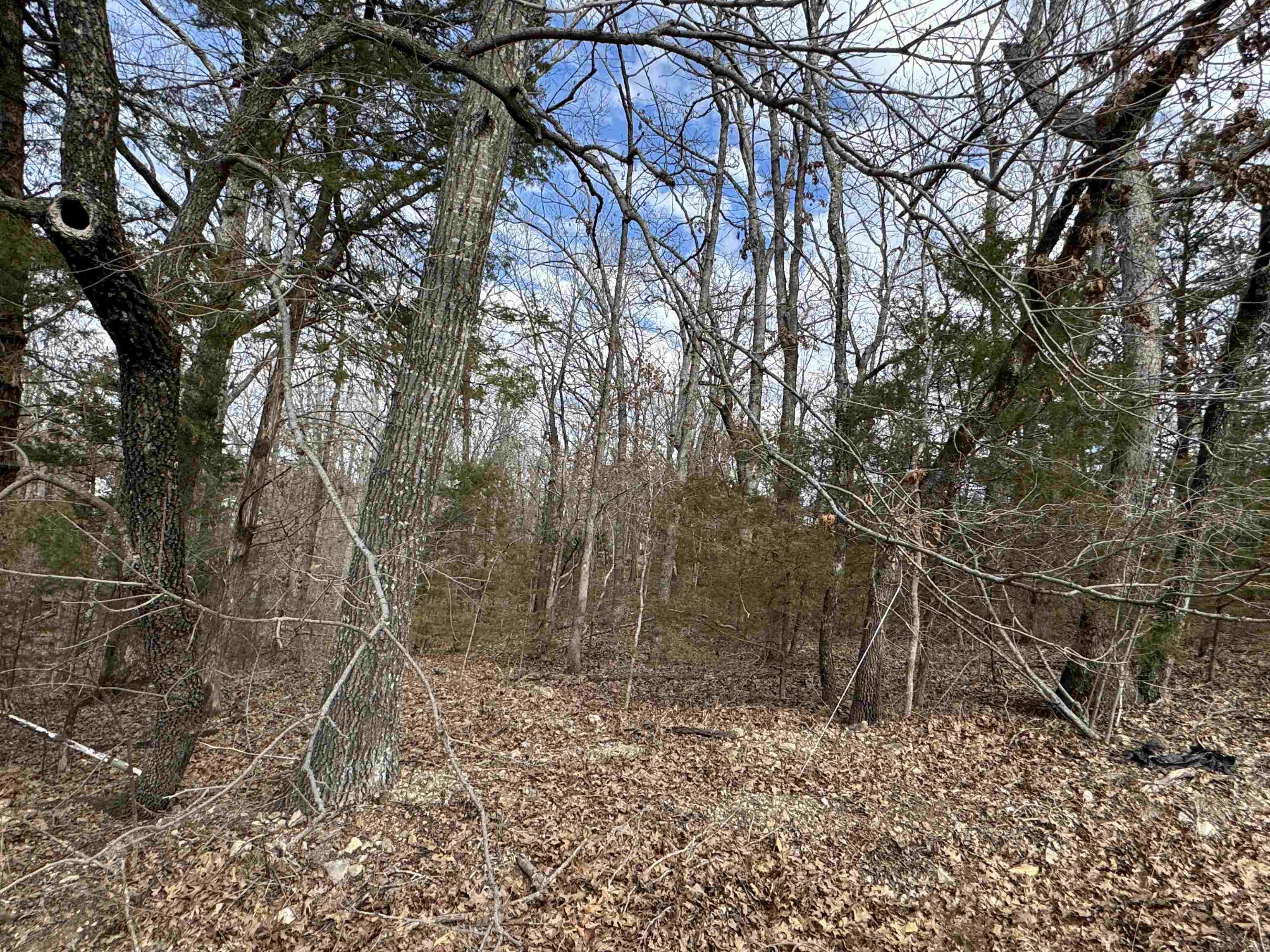 McDonald Meadows - Land