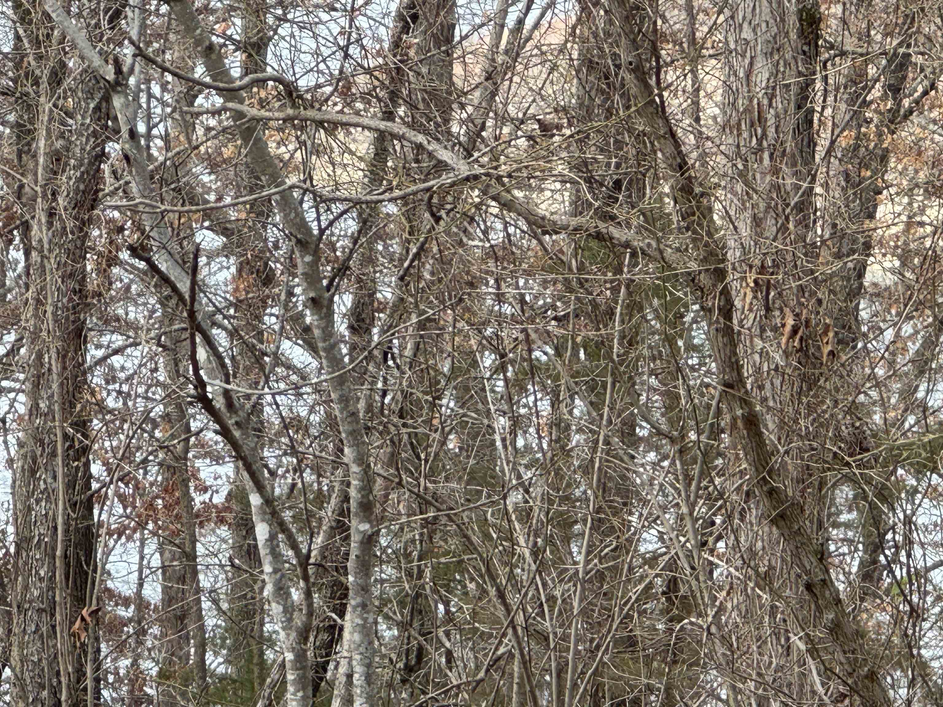 McDonald Meadows - Land