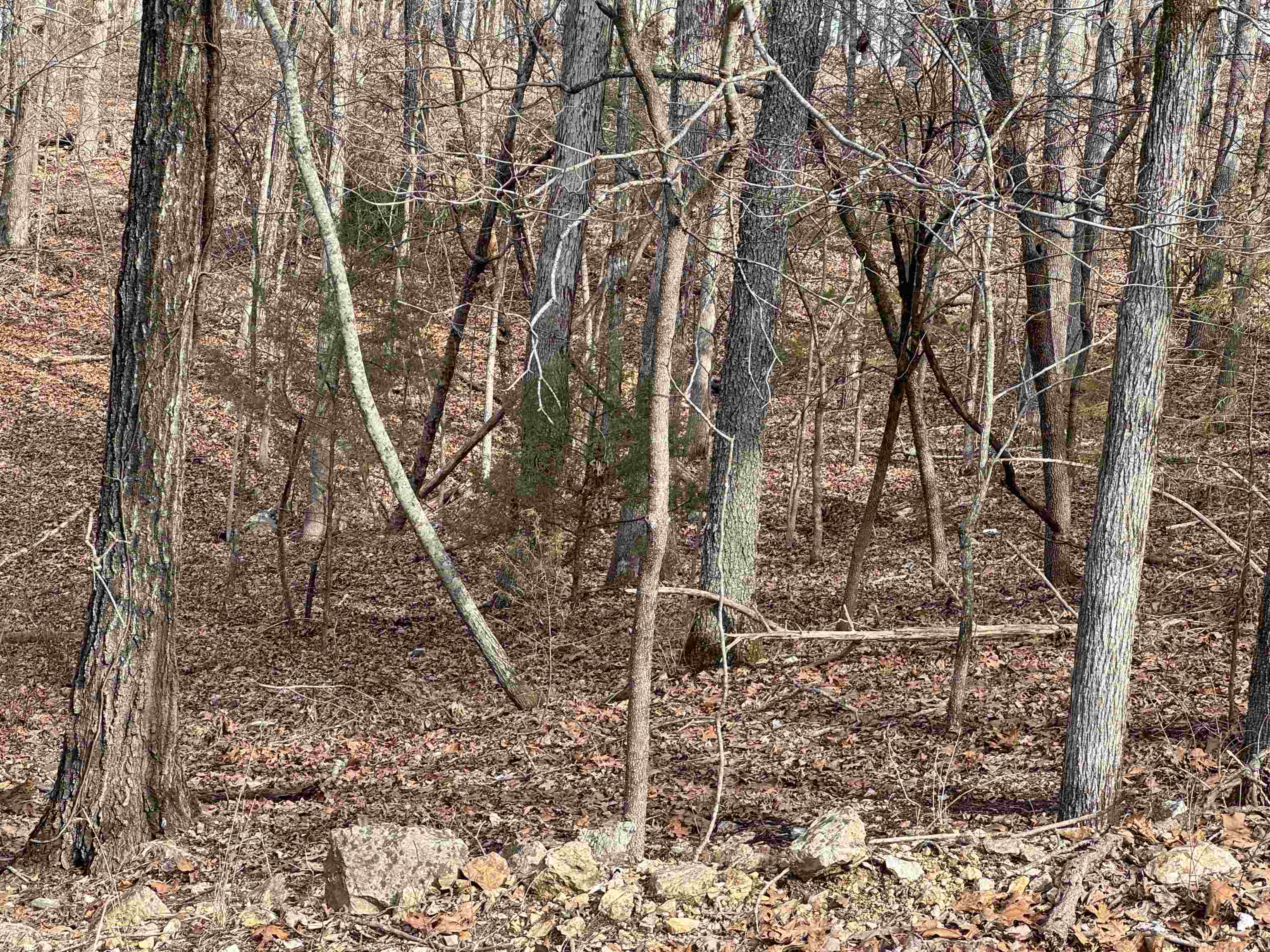 McDonald Meadows - Land