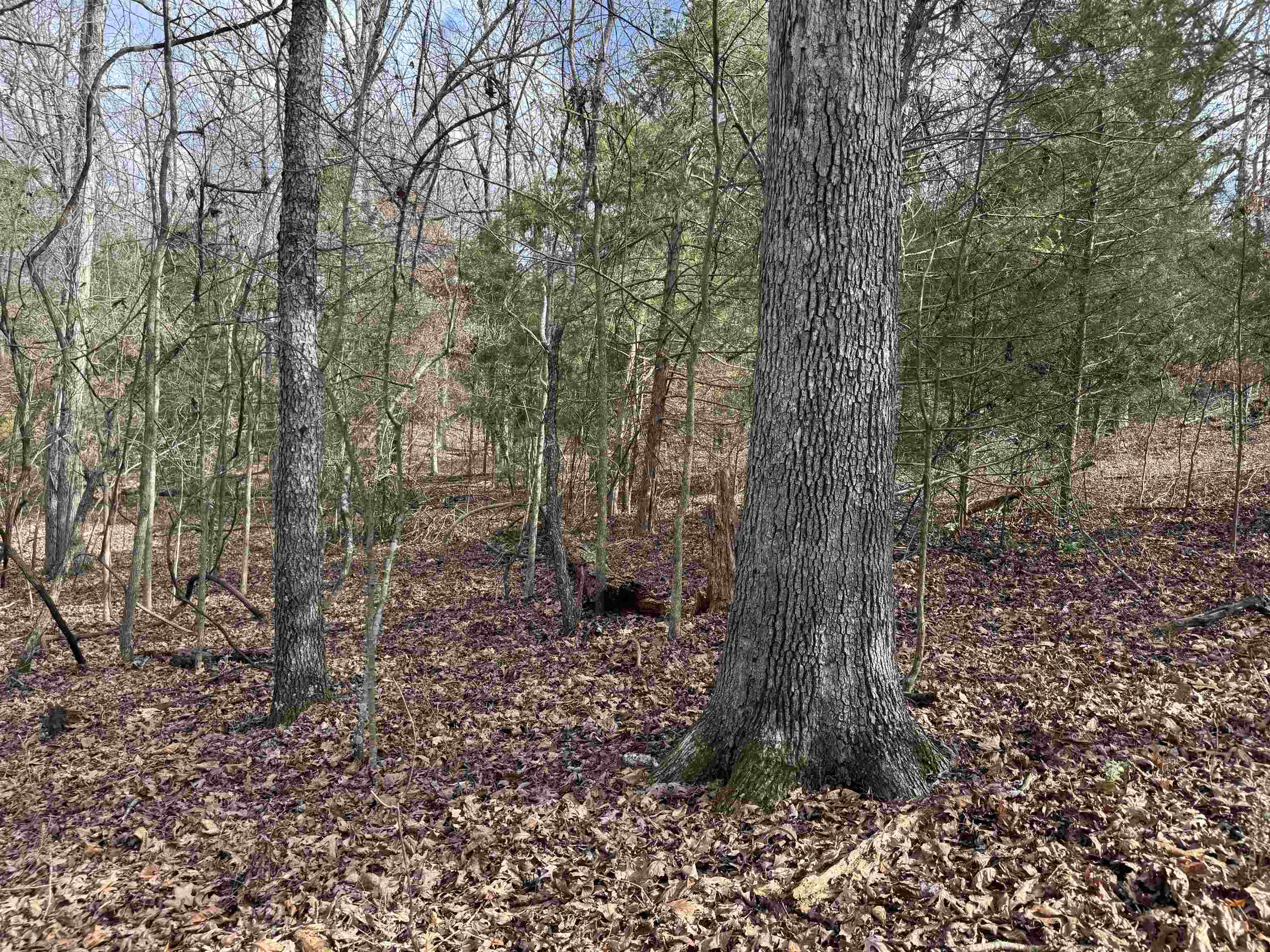 McDonald Meadows - Land