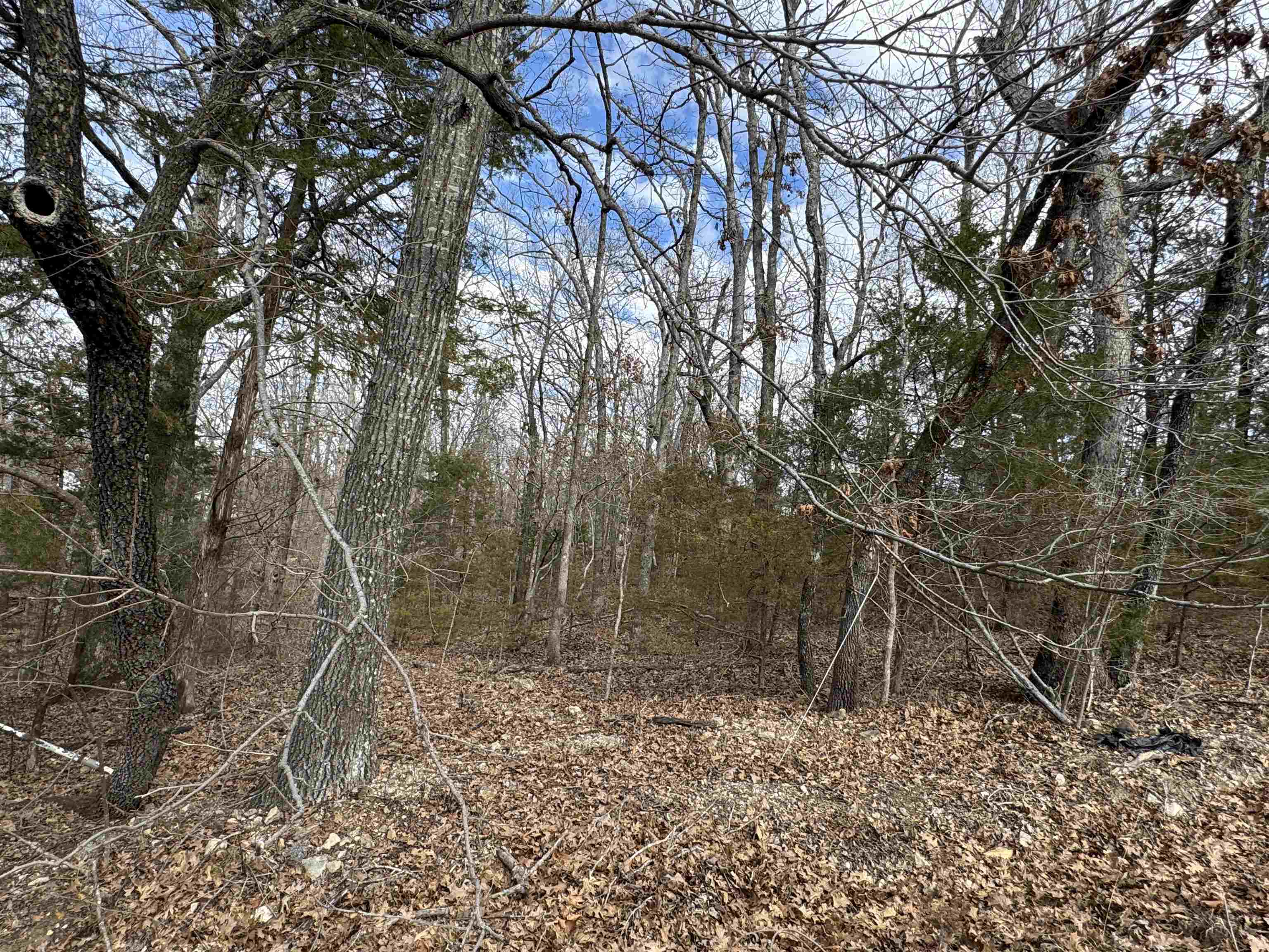 McDonald Meadows - Land