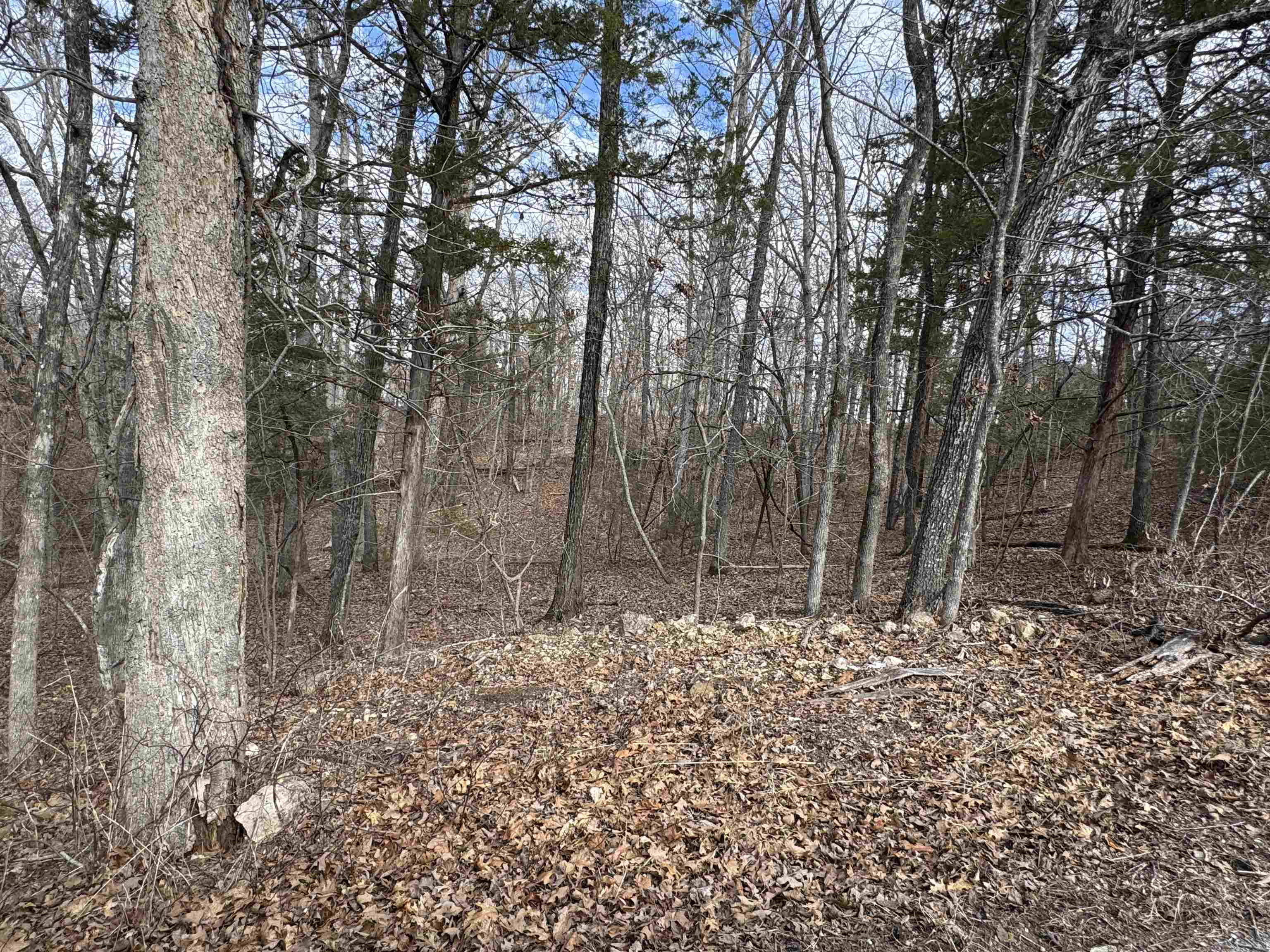 McDonald Meadows - Land