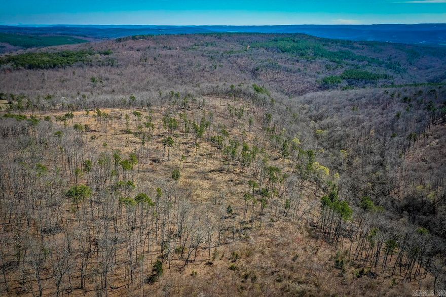 BEAUTIFUL ACREAGE PERFECT FOR YOUR NEW HOME! GREAT VIEWS! PROPERTY HAS HAD SOME TIMBER CUT DOWN.