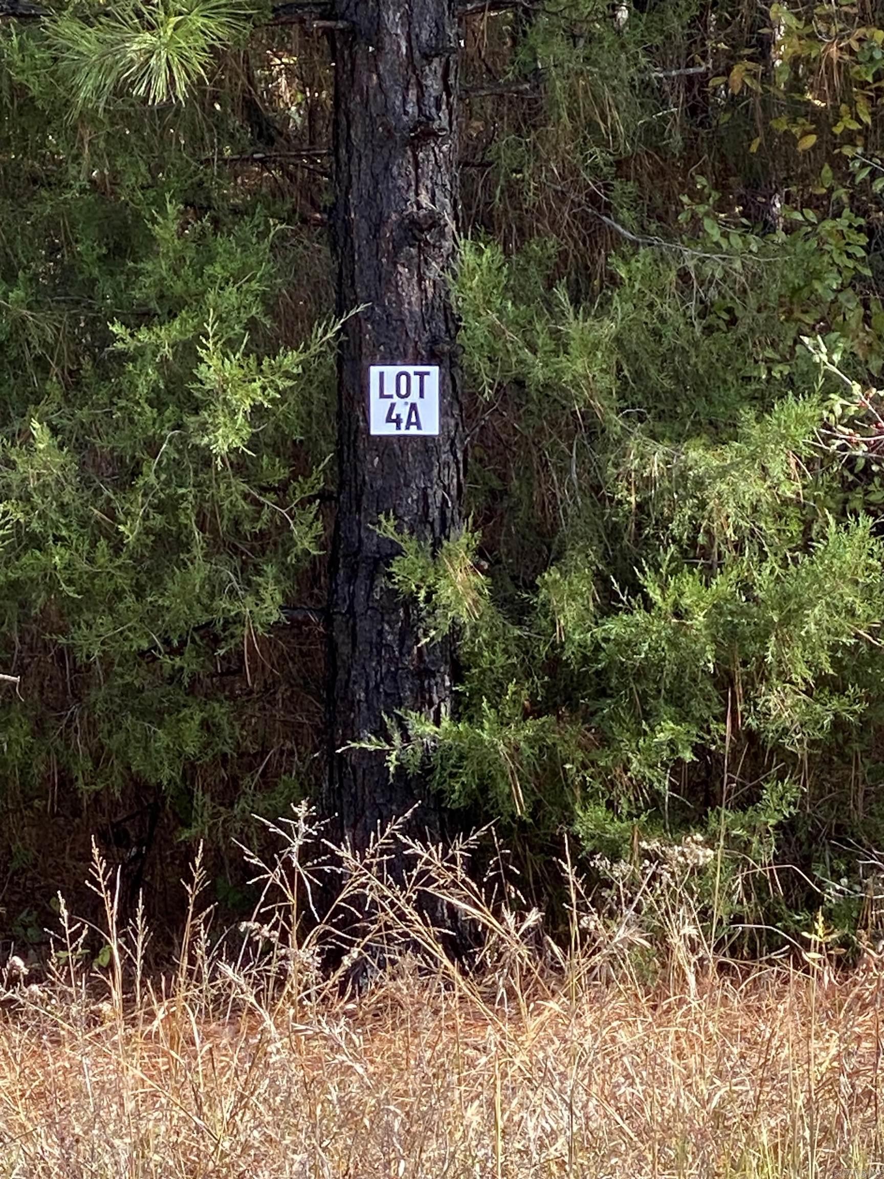 Lot 4A is an approx 10-Acre Lot located within Tract A. Tract A begins at the Corner of Forbus and Hwy 89. Acreage is wooded and fronts Hwy 89. Lot 4A is 1 of 4 lots available for purchase in Tract A. Grand Prairie Water and First Electric at Road. Fantastic opportunity for a spacious home place, duplexes, triplexes, and/or quadplexes. Take a drive out to see this lot or the other lots listed. See Agent Remarks.