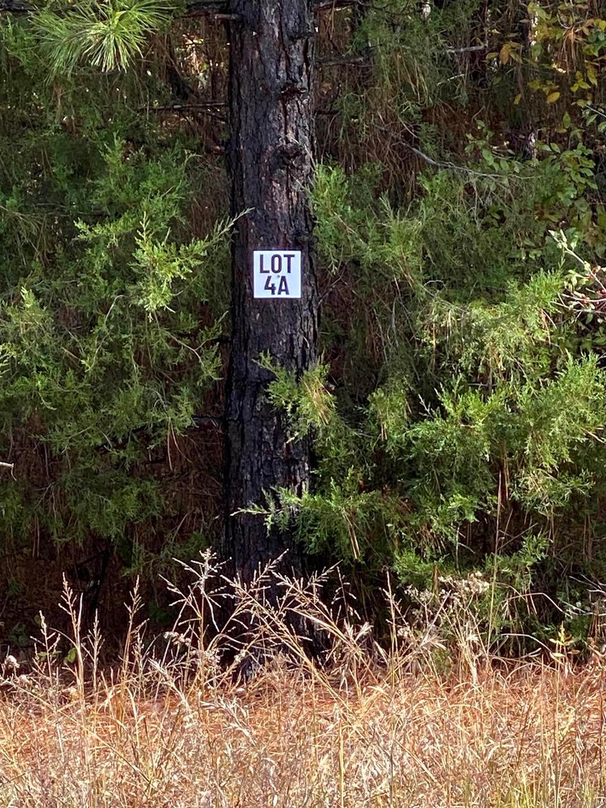 Lot 4A is an approx 10-Acre Lot located within Tract A.  Tract A begins at the Corner of Forbus and Hwy 89.  Acreage is wooded and fronts Hwy 89.  Lot 4A is 1 of 4 lots available for purchase in Tract A.  Grand Prairie Water and First Electric at Road.  Fantastic opportunity for a spacious home place, duplexes, triplexes, and/or quadplexes.  Take a drive out to see this lot or the other lots listed.  See Agent Remarks.