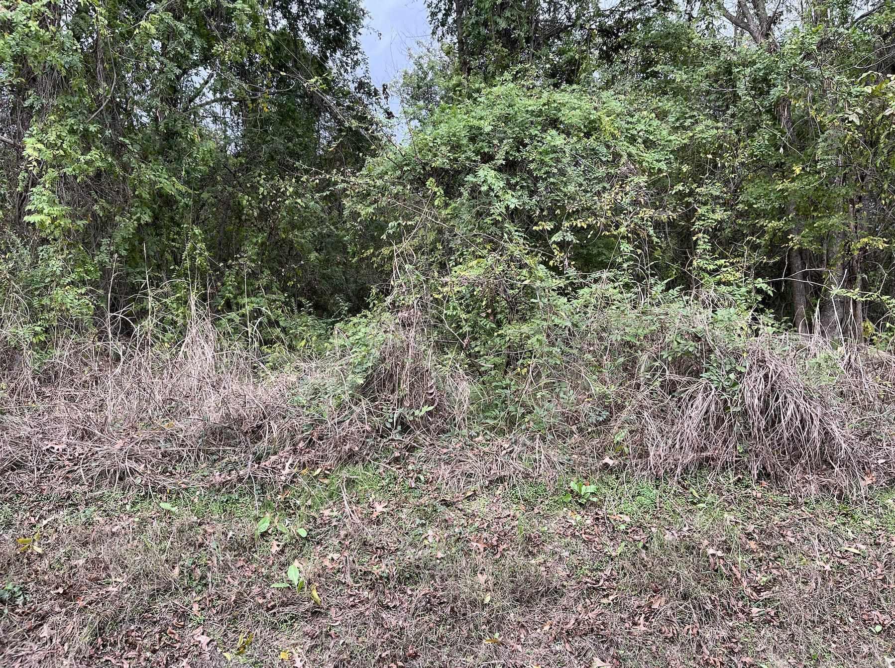 Hamilton-Wilson - Land