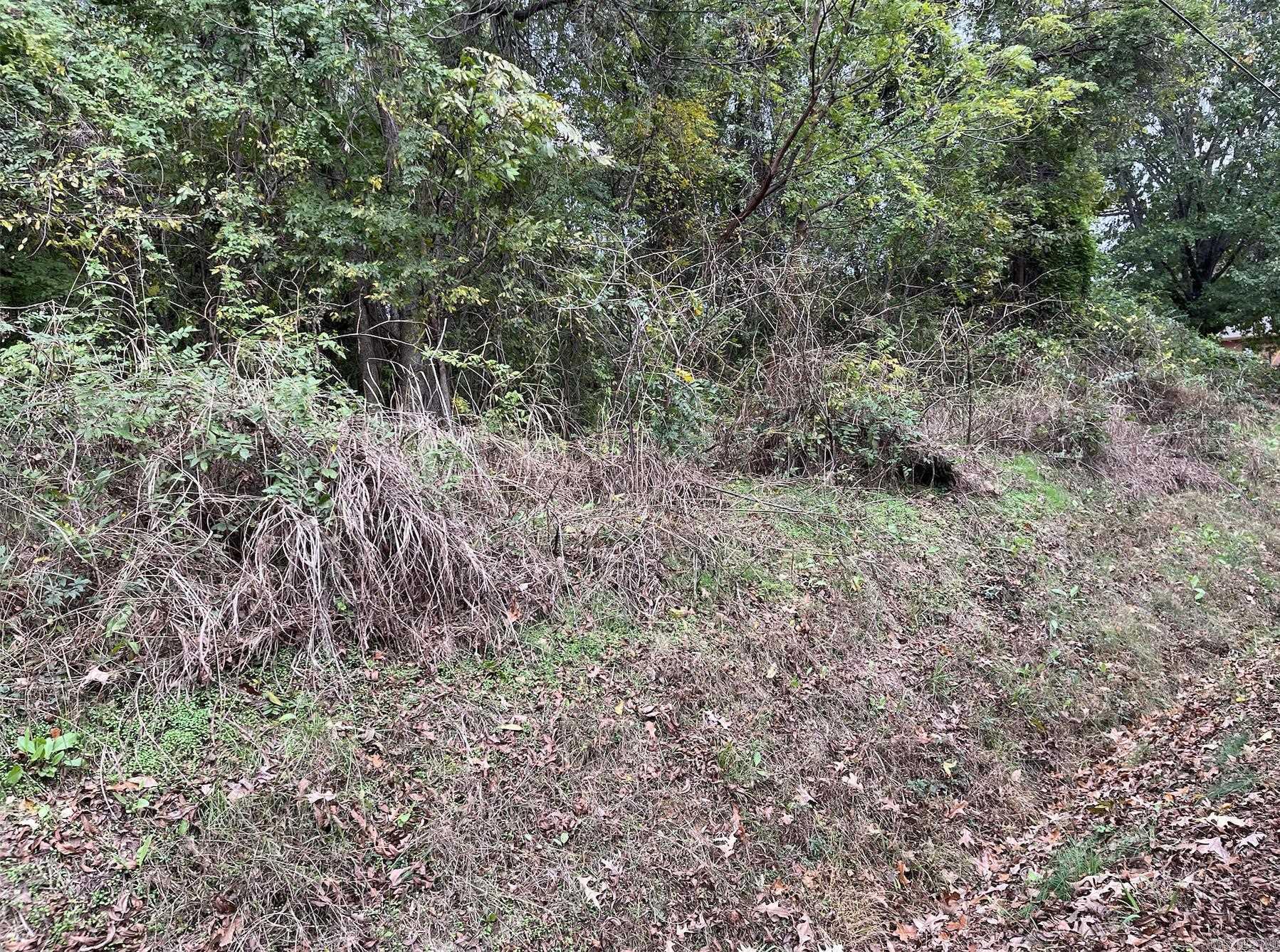 Hamilton-Wilson - Land