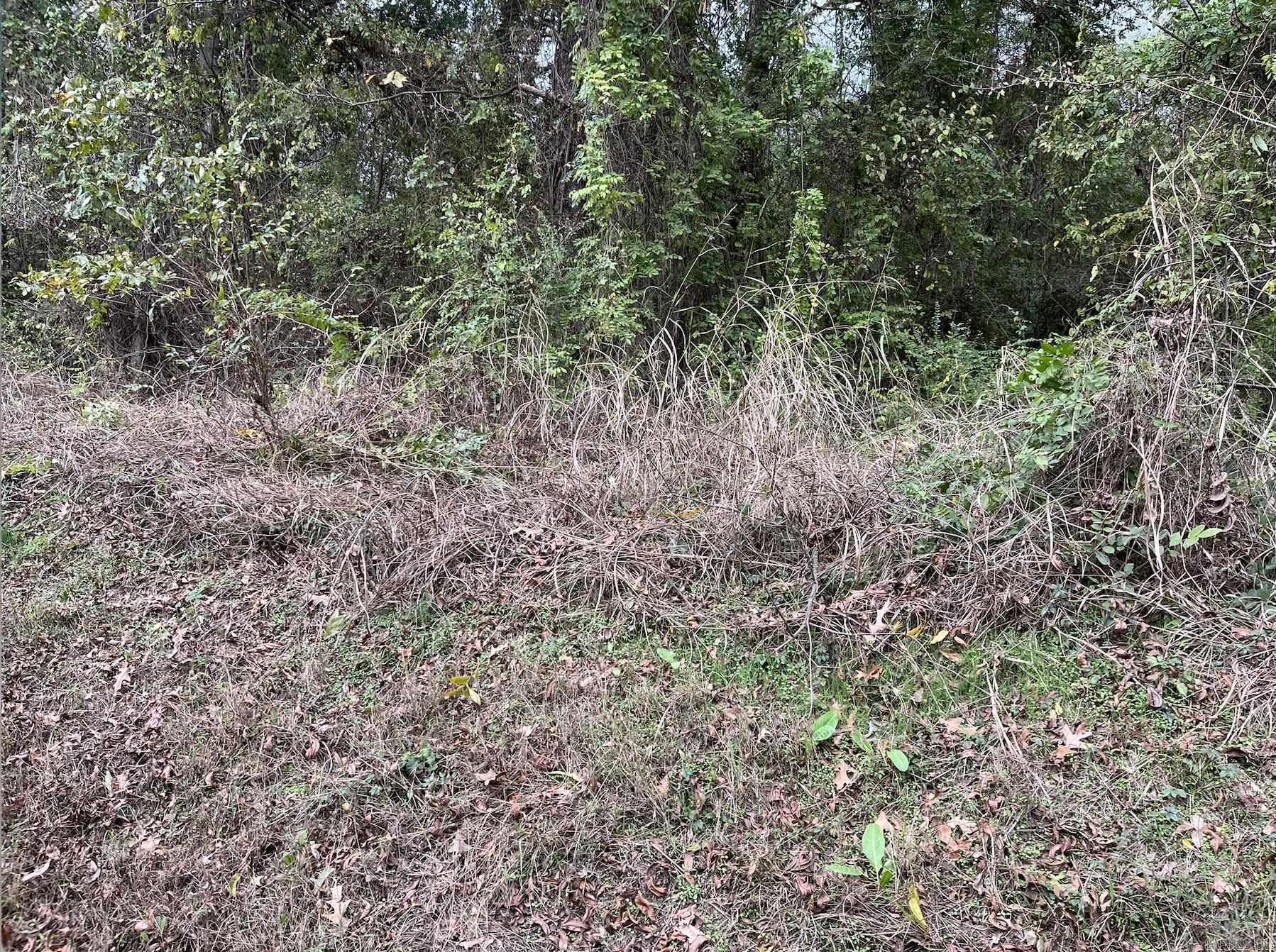 Hamilton-Wilson - Land