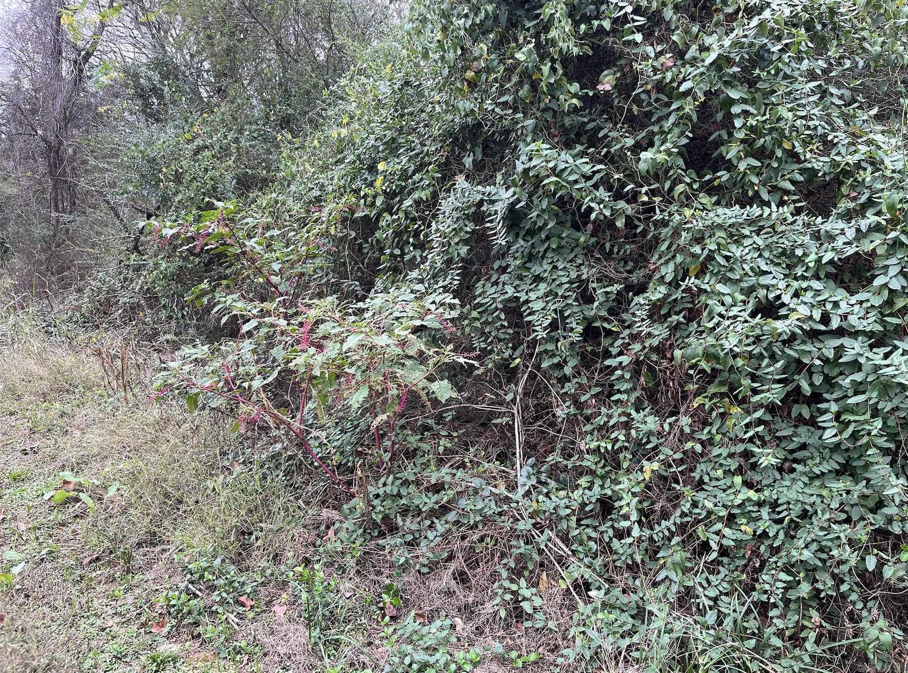 Hamilton-Wilson - Land