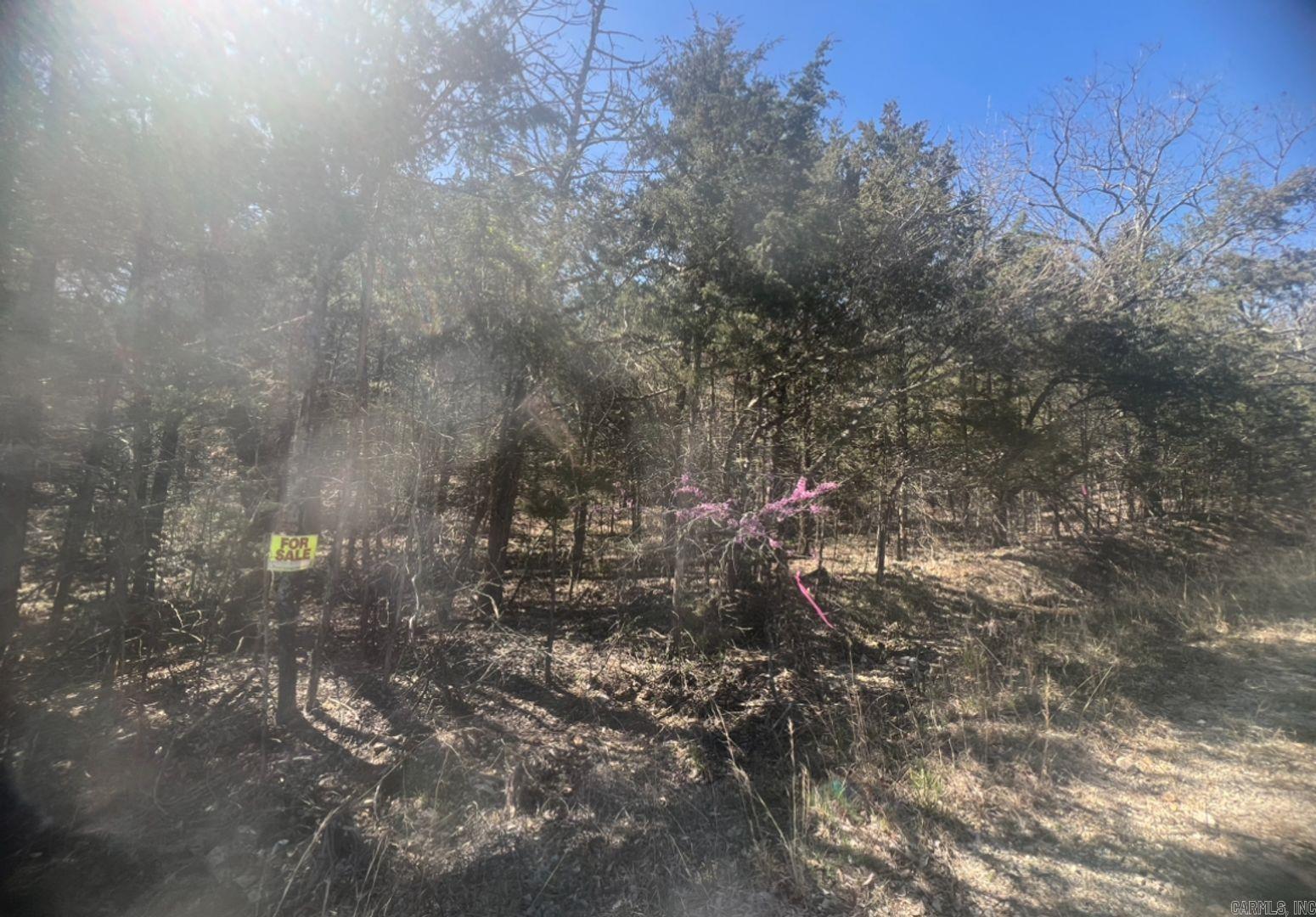 Owner financing is available- This oversized lot is north of town, about 2 miles, leaving you close to town, yet far enough away that you have privacy. This lot will come with less noise than living close to downtown. If you want to build a forever home or a vacation spot that's off the beaten track, then this is the building lot for you! A building permit has been acquired, and your foundation is in place. Horseshoe Bend is an excellent place where you can call it your forever home or build/ place a cabin for a nice vacation getaway. This lot has power at the lot line. This area provides a few lakes to have an endless amount of fun. Take the family and friends and spend the day or weekend out on the water. You can fish, go swimming, and do many other water activities. Utilities nearby! The Horseshoe Bend Water Department will have Water & Sewer information for you concerning water service and trash service. That number is 870-670-5885 or you can email at water@cityhsb.org The electricity is provided by North Arkansas Electric Cooperative. Their number is 870-895-3221. Here is your opportunity to buy a beautiful piece of land in Horseshoe Bend. It is the perfect place to build
