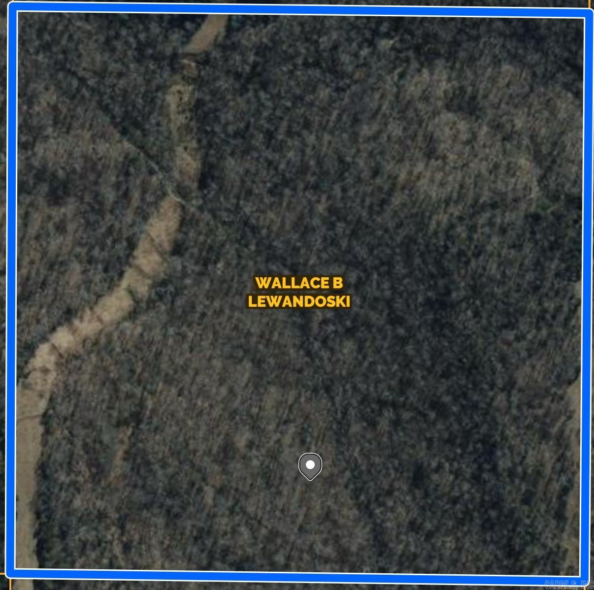 Beautiful acreage for the hunter or be perfect for the person that want to hike and explore on a piece of land that in wooded. Very peaceful property. Endless opportunities for the right owner. Check agent remarks.