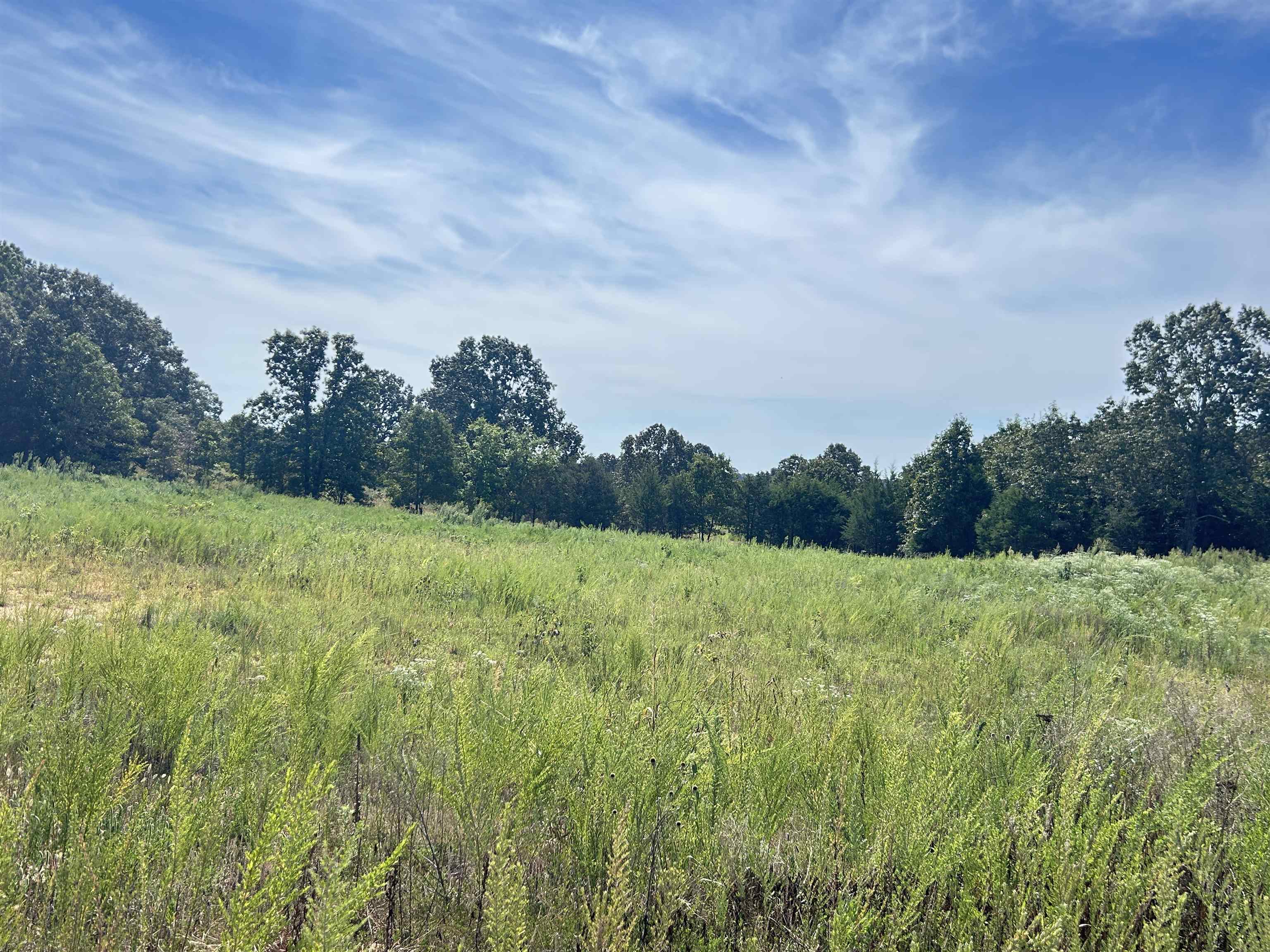 Metes & Bounds - Commercial Sale