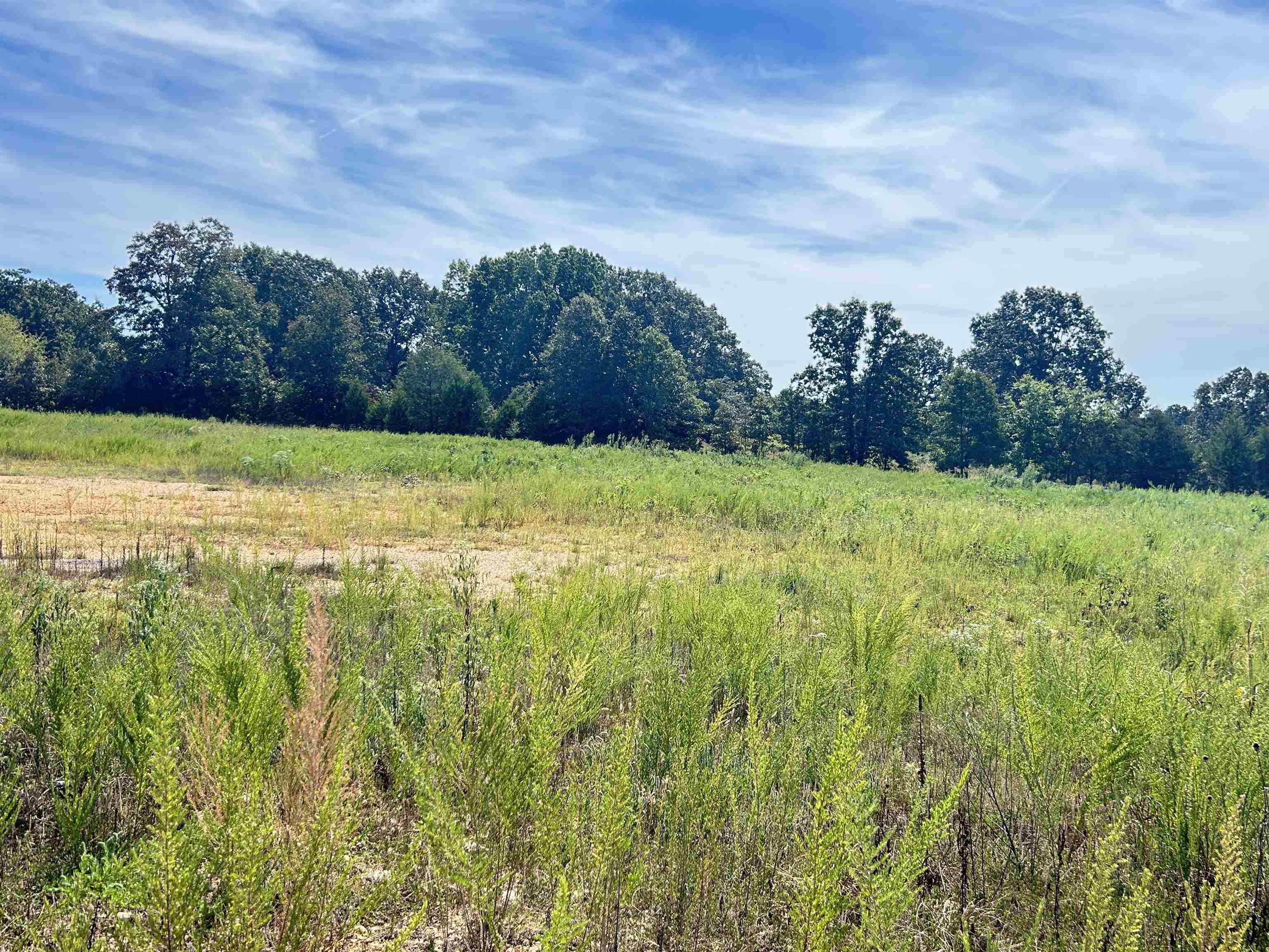 Metes & Bounds - Commercial Sale