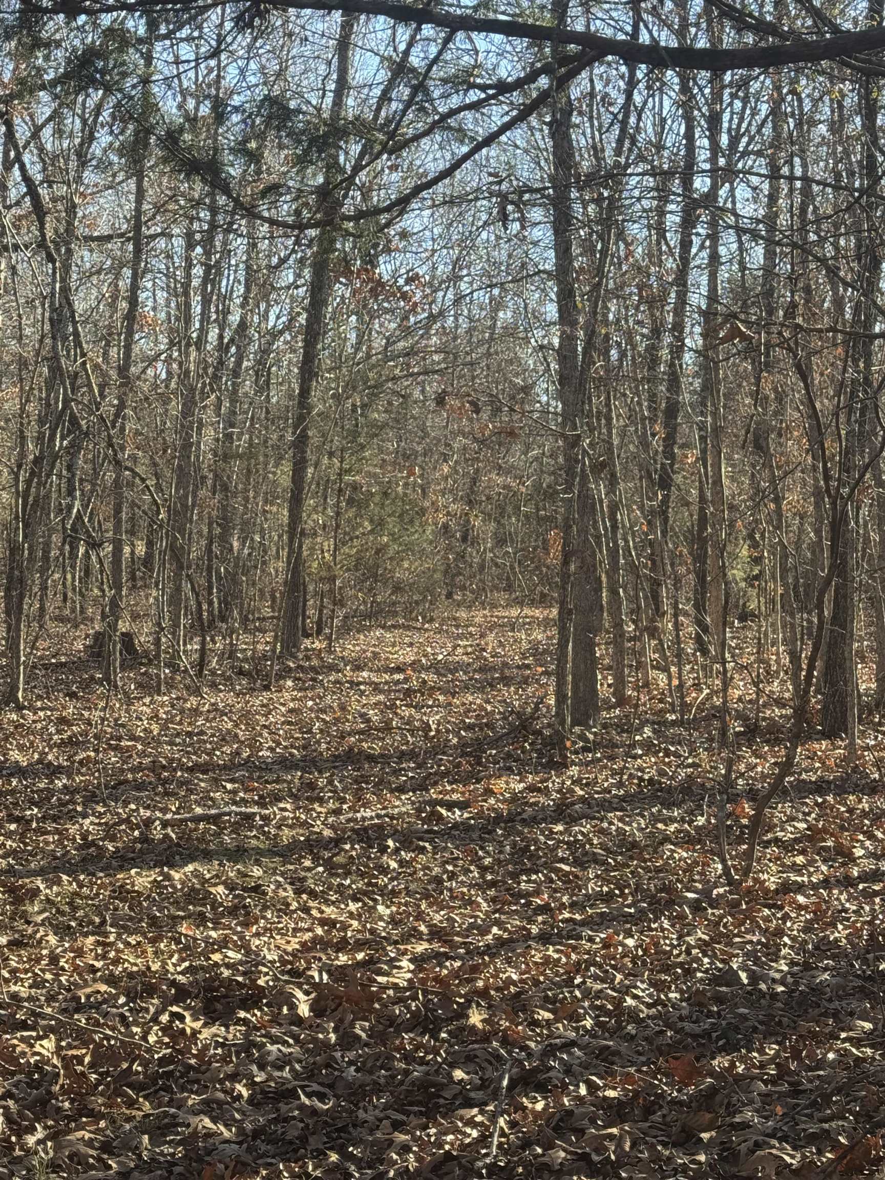 Metes & Bounds - Land