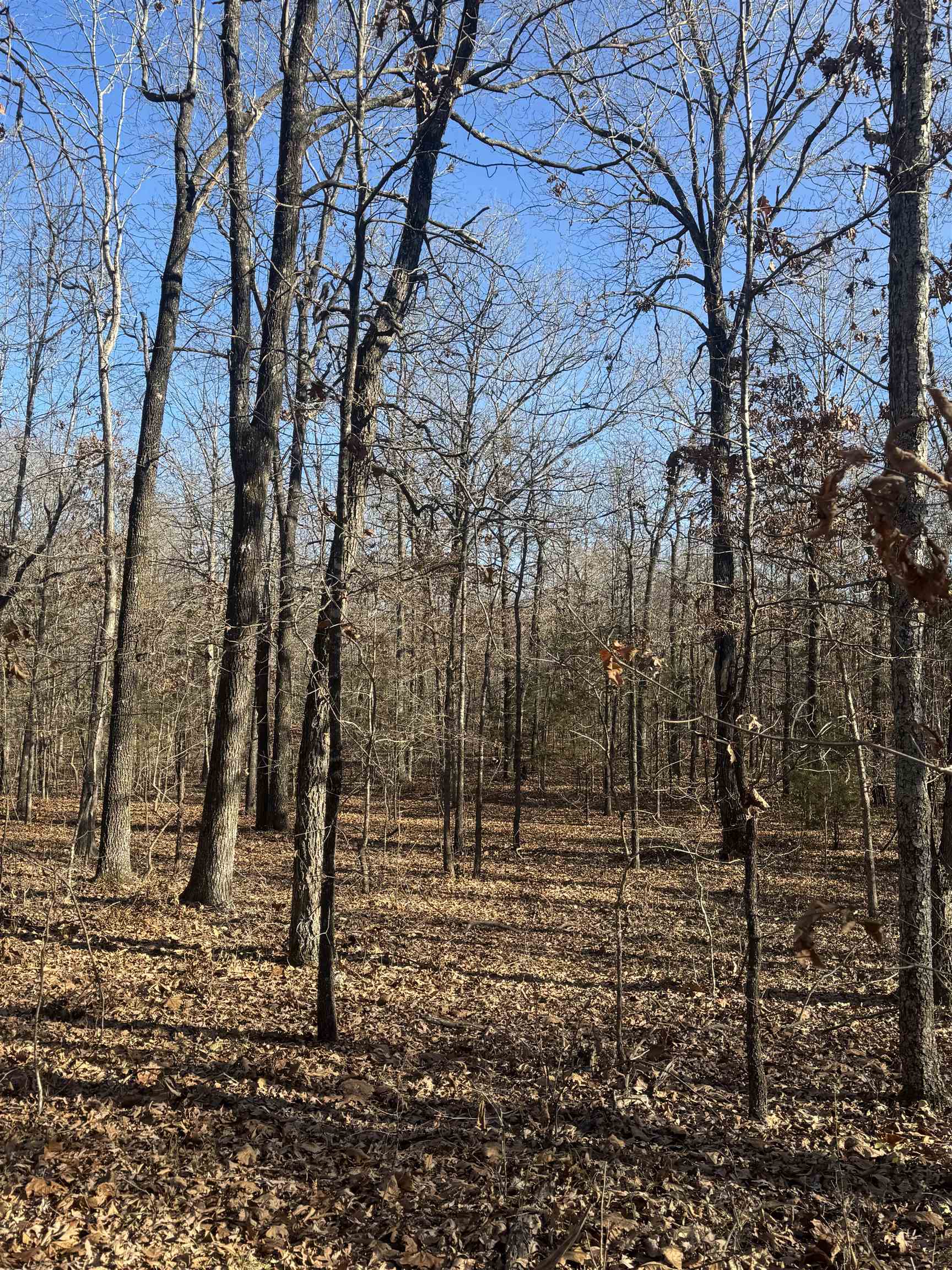 Metes & Bounds - Land