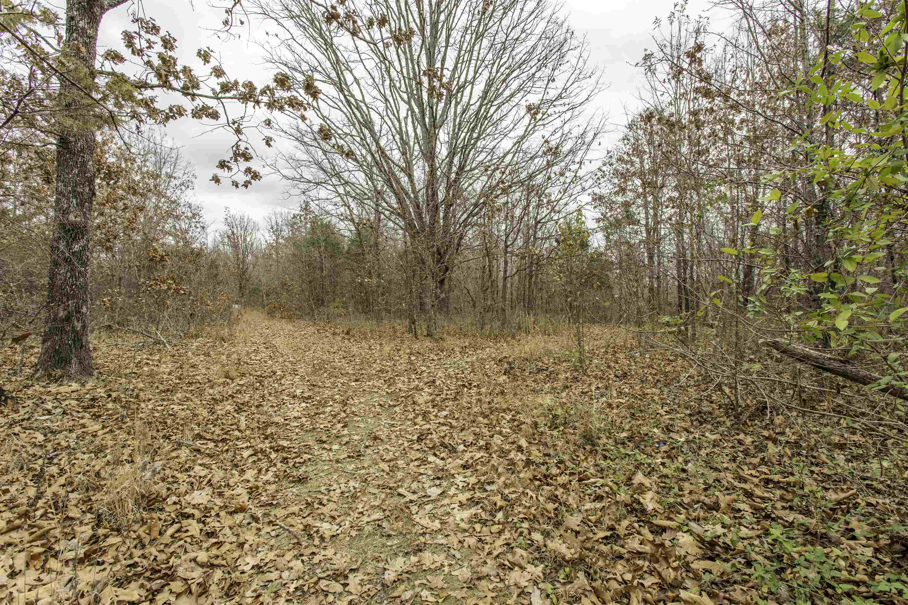 Metes & Bounds - Land