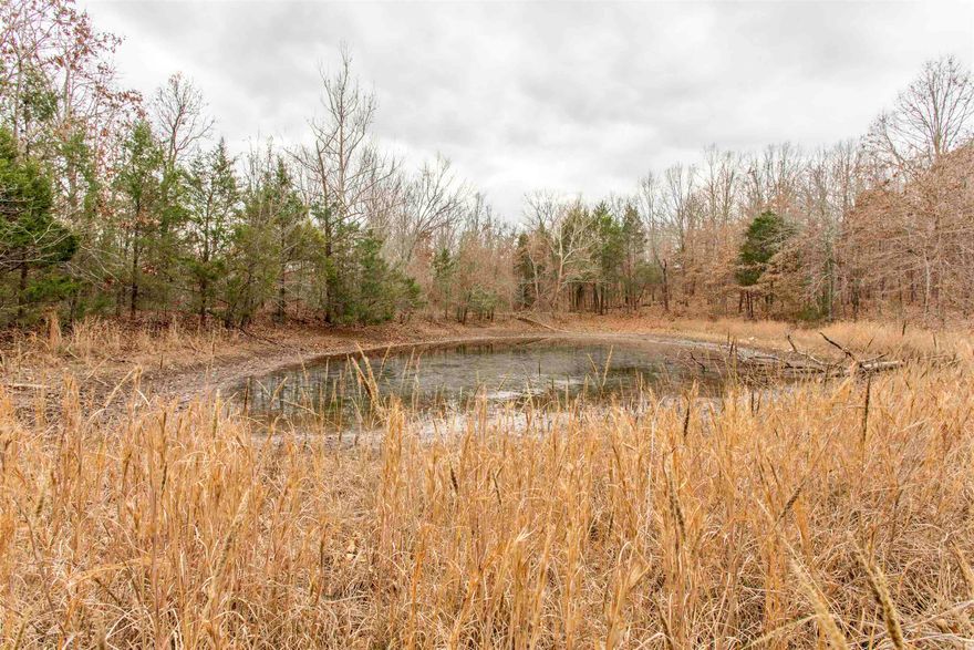 Calling all hunters, land investors, and agricultural buyers! This 55-acre tract on Valley Chapel Rd in Ravenden Springs, Arkansas offers outstanding versatility—ideal for deer and turkey hunting, recreational use, or agricultural development, including an egg or poultry farm.  The property is **mostly wooded** with a strong **mix of hardwoods**, providing excellent wildlife habitat and natural cover. Thicker growth along the **southern end creates prime bedding areas**, while the **on-site pond** serves as a reliable water source for both wildlife and livestock. The **gentle, rolling terrain** allows for easy access, equipment use, and potential clearing.  With **county road frontage** and **power available**, this tract is well-positioned for a **hunting cabin, poultry operation, or mixed-use rural property**. The layout, access, and topography make it a practical choice for those looking to combine **recreation and agricultural income potential**.  Quality land with this kind of flexibility is hard to find—especially in this location.