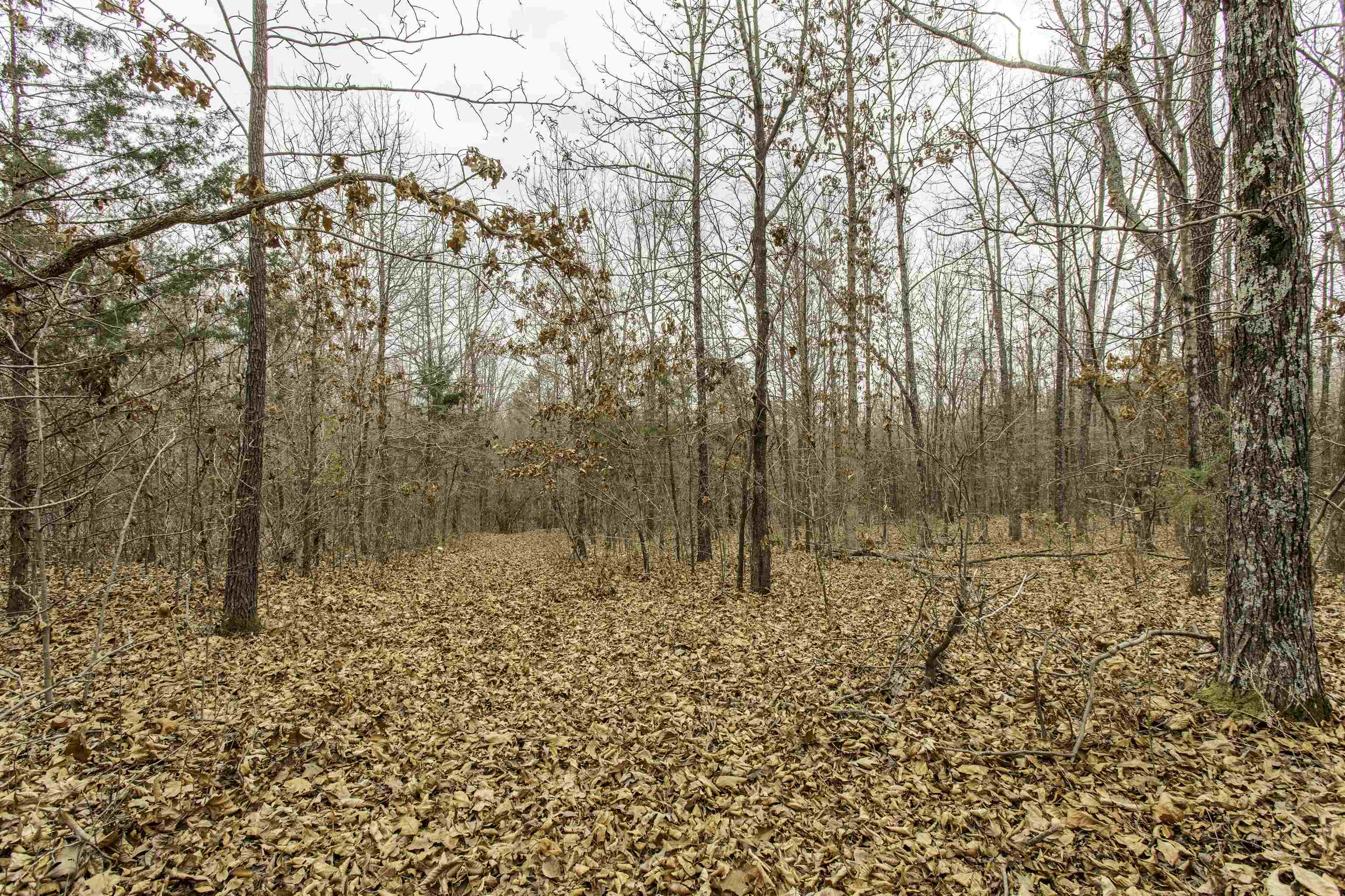 Metes & Bounds - Land