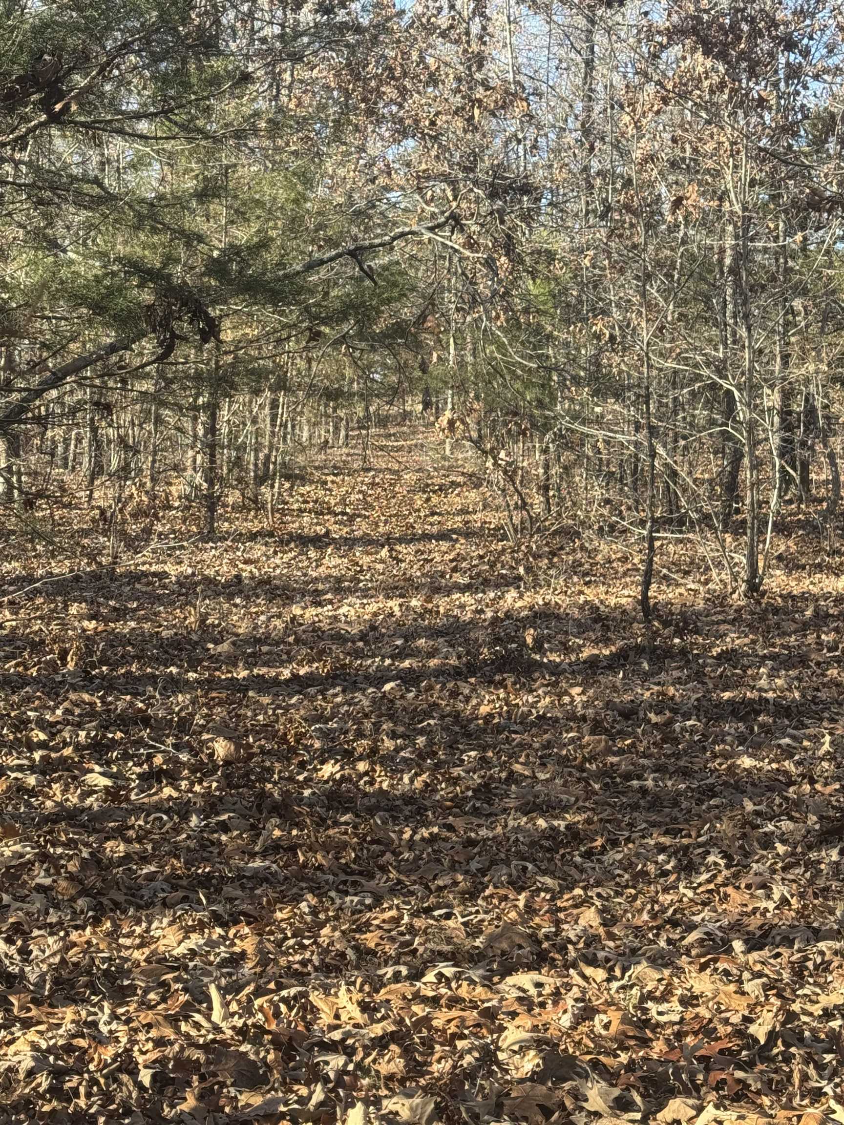 Metes & Bounds - Land