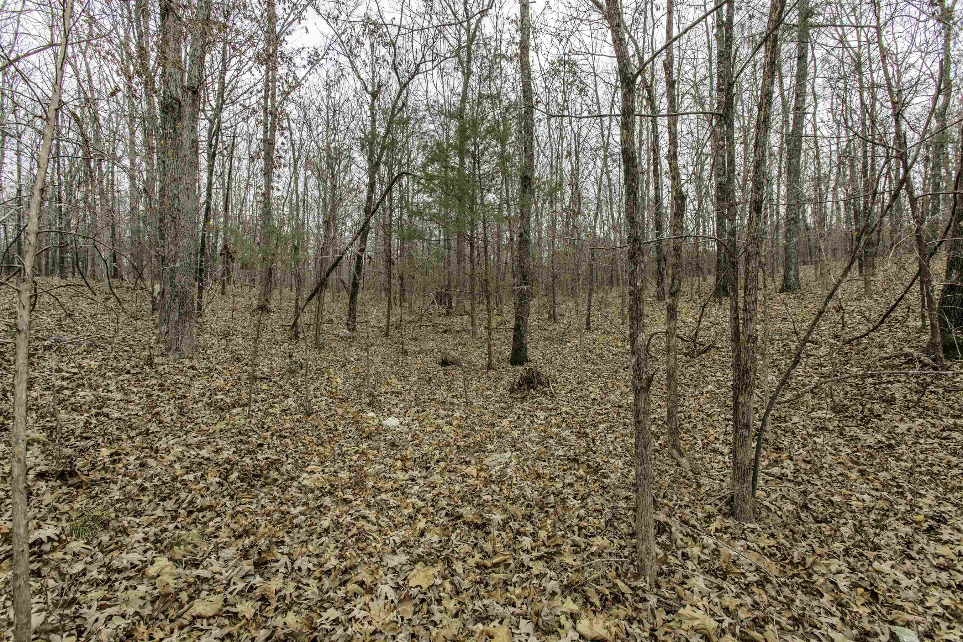 Metes & Bounds - Land