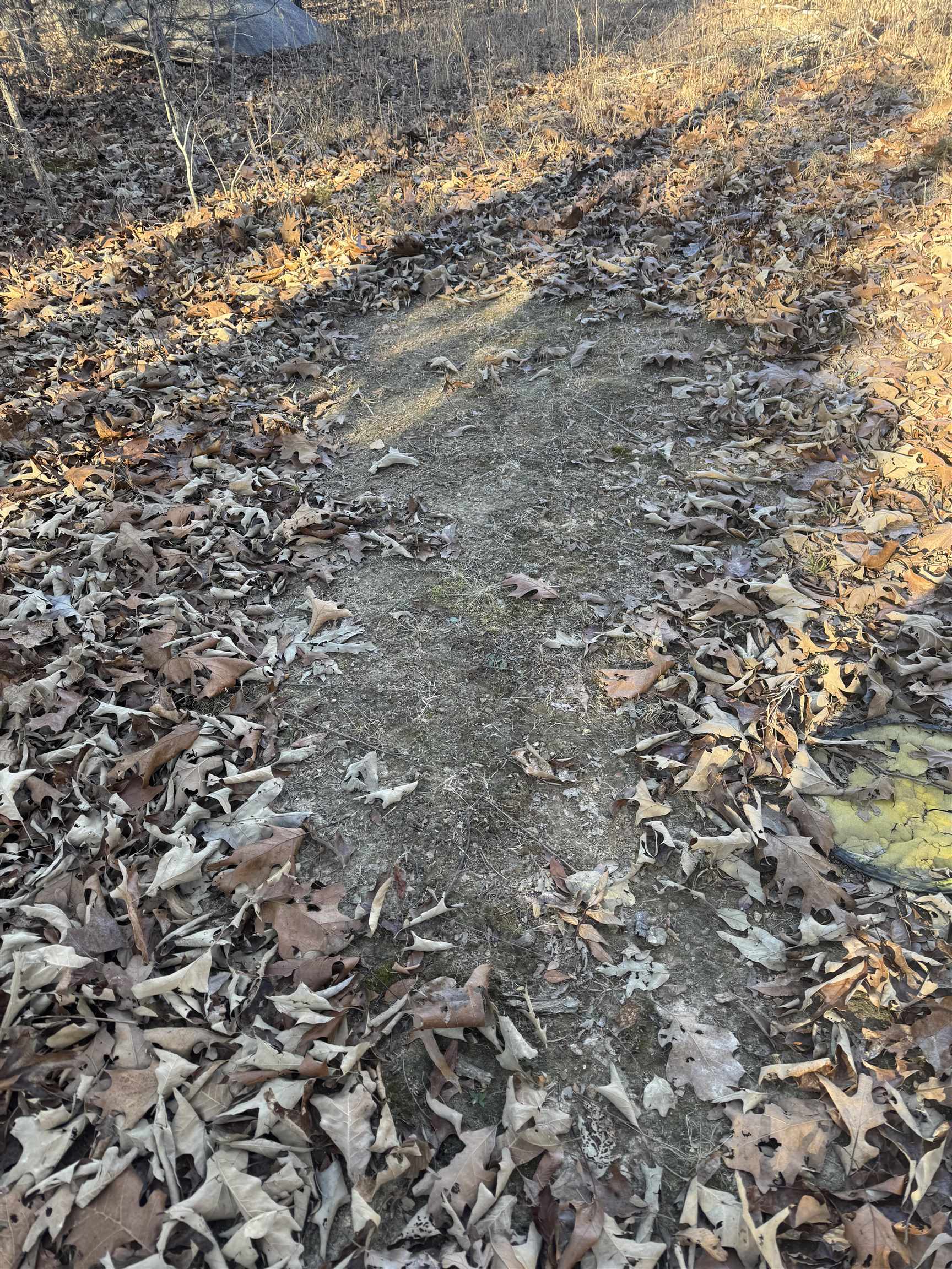 Metes & Bounds - Land