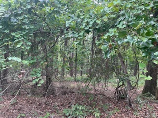 Treed level lot.