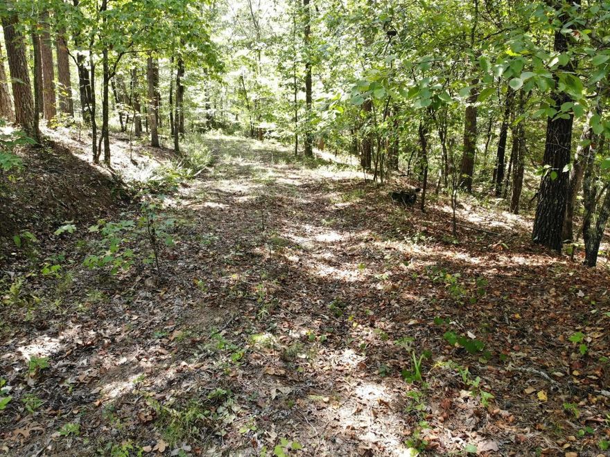 APPROX 9.62 ACRES WITH ELECTRICITY. NO WATER OR SEPTIC. MOBILE HOME ON PROPERTY IS OF NO VALUE. WATER IS AVAILABLE WITH A LINE EXTENSION OFF OF LUTE MOUNTAIN ROAD. NEW SURVEY HAS BEEN DONE.
