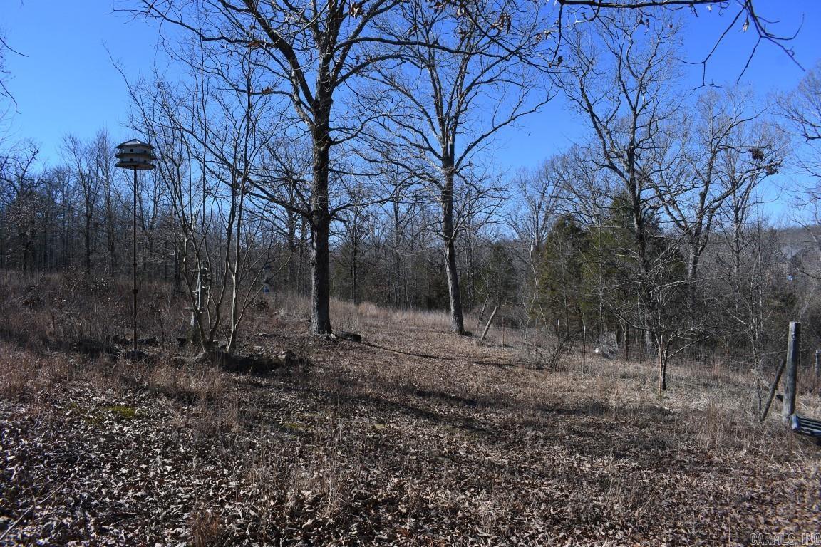 Stone Mountain - Land