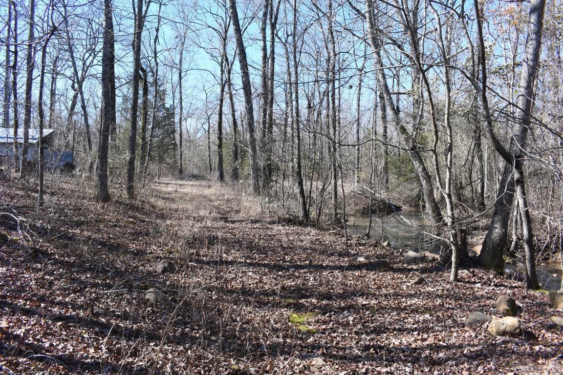 Stone Mountain - Land