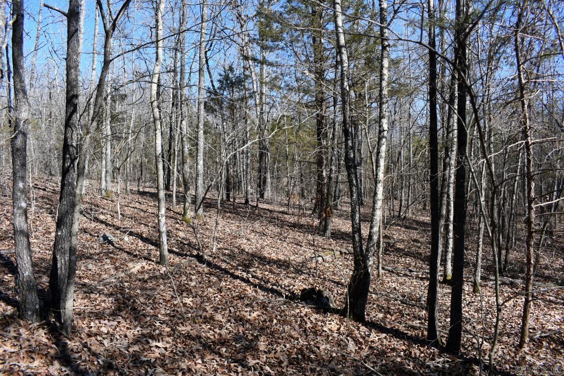 Stone Mountain - Land