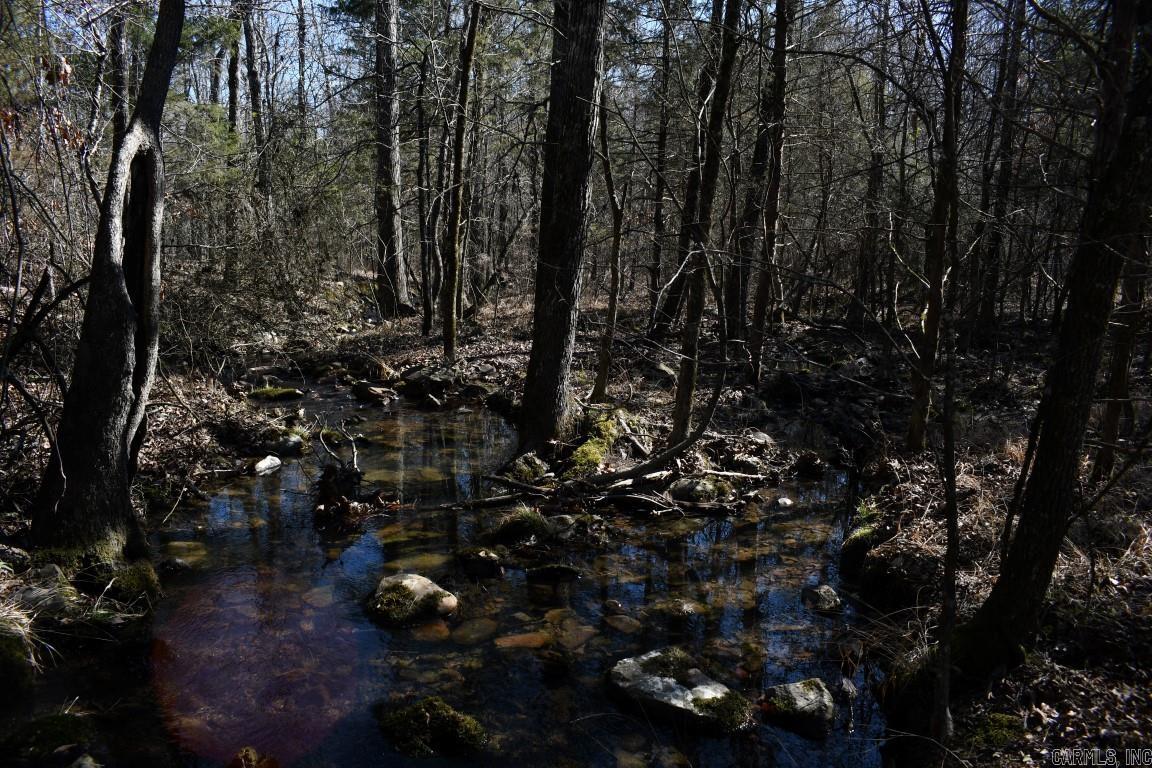 Stone Mountain - Land