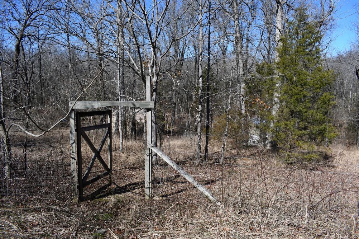Stone Mountain - Land