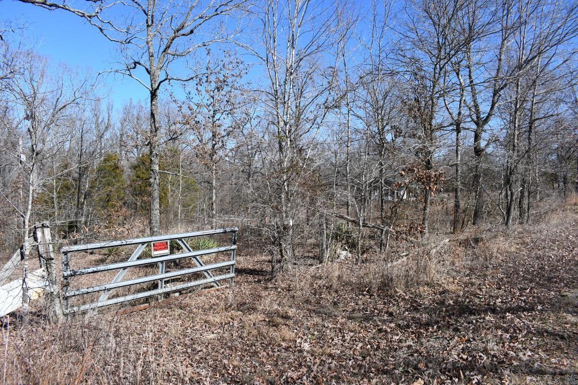 Stone Mountain - Land