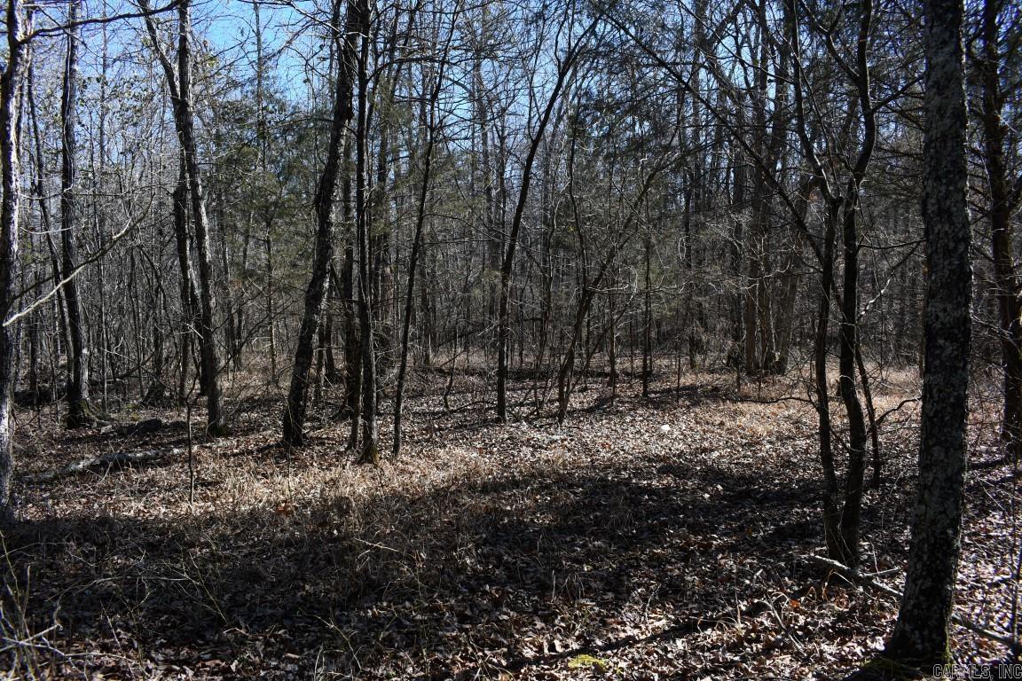 Stone Mountain - Land