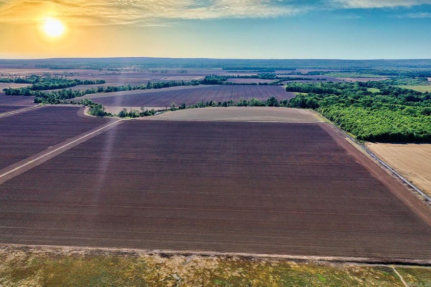 This 64 +/- acre tract of precision leveled, highly productive farmland offers a strong opportunity for both income and recreation in the heart of White County near Bradford, Arkansas. The farm has a proven history of rice and soybean rotation and is set up for efficient farming practices, making it an ideal addition to an existing operation or a solid standalone investment. The soils are primarily made up of Kobel silty clay and Commerce silty clay loam, both known for their ability to hold water—an important factor for rice production and overall farm performance. The layout and topography support consistent yields, and the precision leveling enhances water management and efficiency across the tract. In addition to its agricultural value, this property carries strong recreational appeal. Located within one mile of the White River in a major migratory flyway, the farm offers excellent potential for duck hunting, especially when managed in conjunction with its natural water-holding capabilities. For buyers looking to expand, this tract adjoins an additional 368 +/- acre rice and soybean farm also available for purchase, creating a rare opportunity for a larger, contiguous tract.