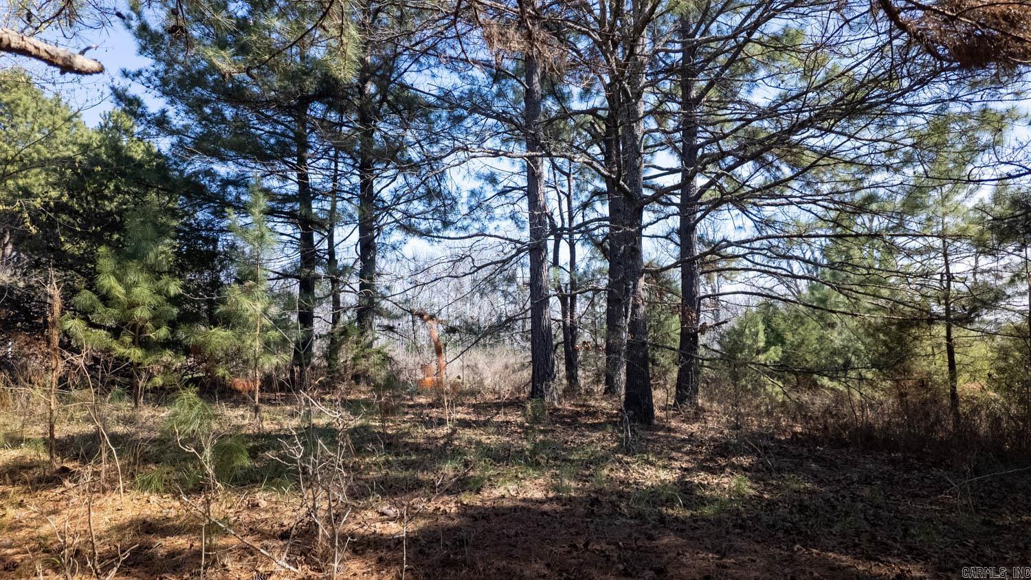 Not in Subdivision - Land