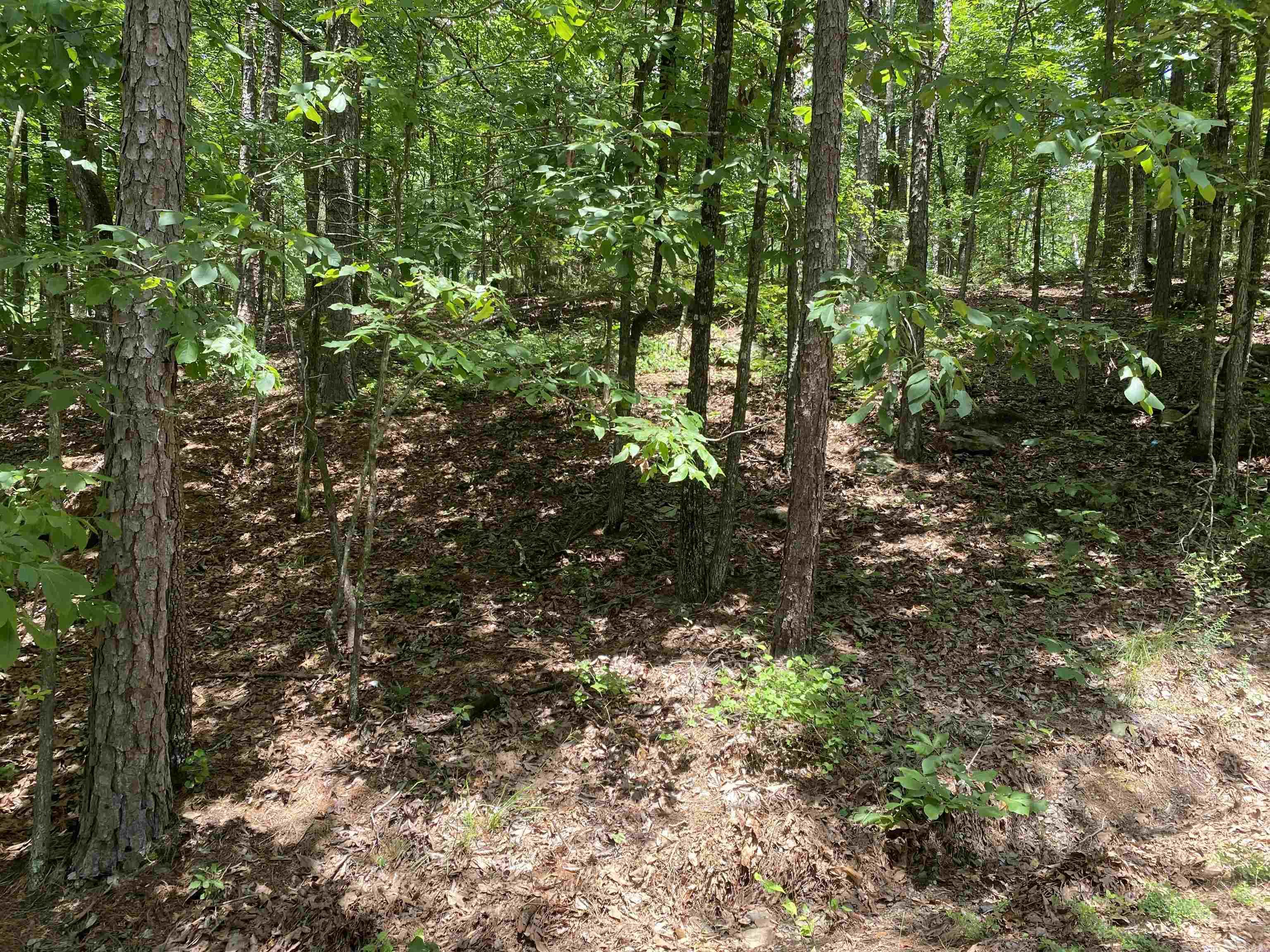 Lakeshore Hills II - Land