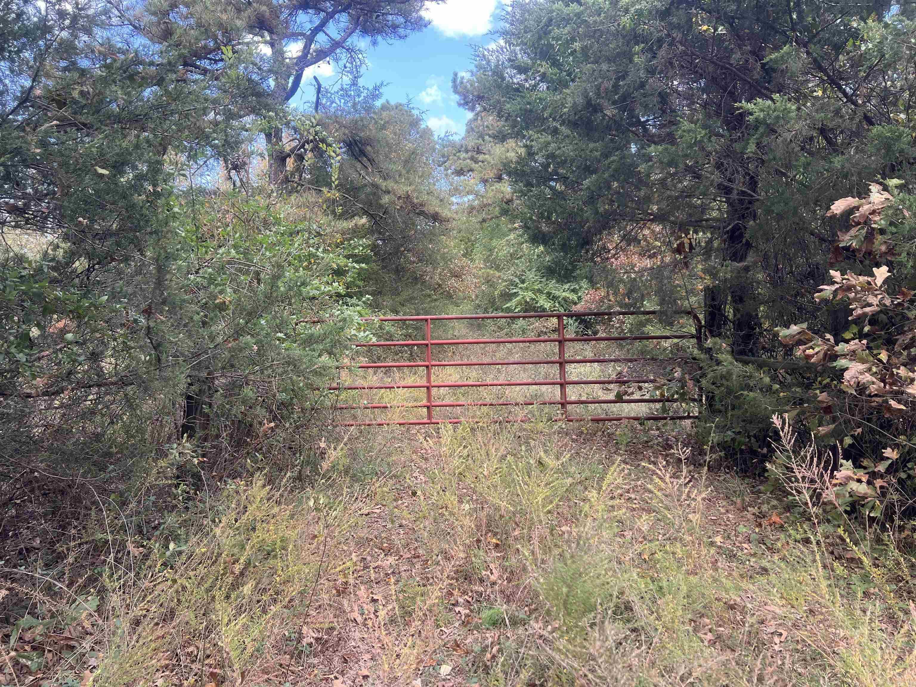 Beautiful 40 acres that is fully fenced, with pond, and two old home sites.