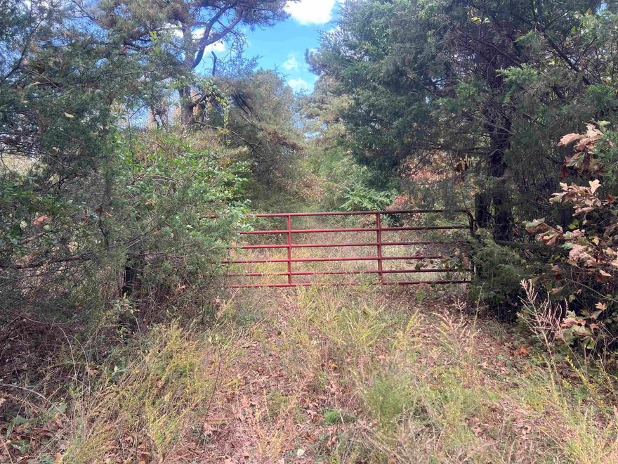 Beautiful 40 acres that is fully fenced, with pond, and two old home sites.