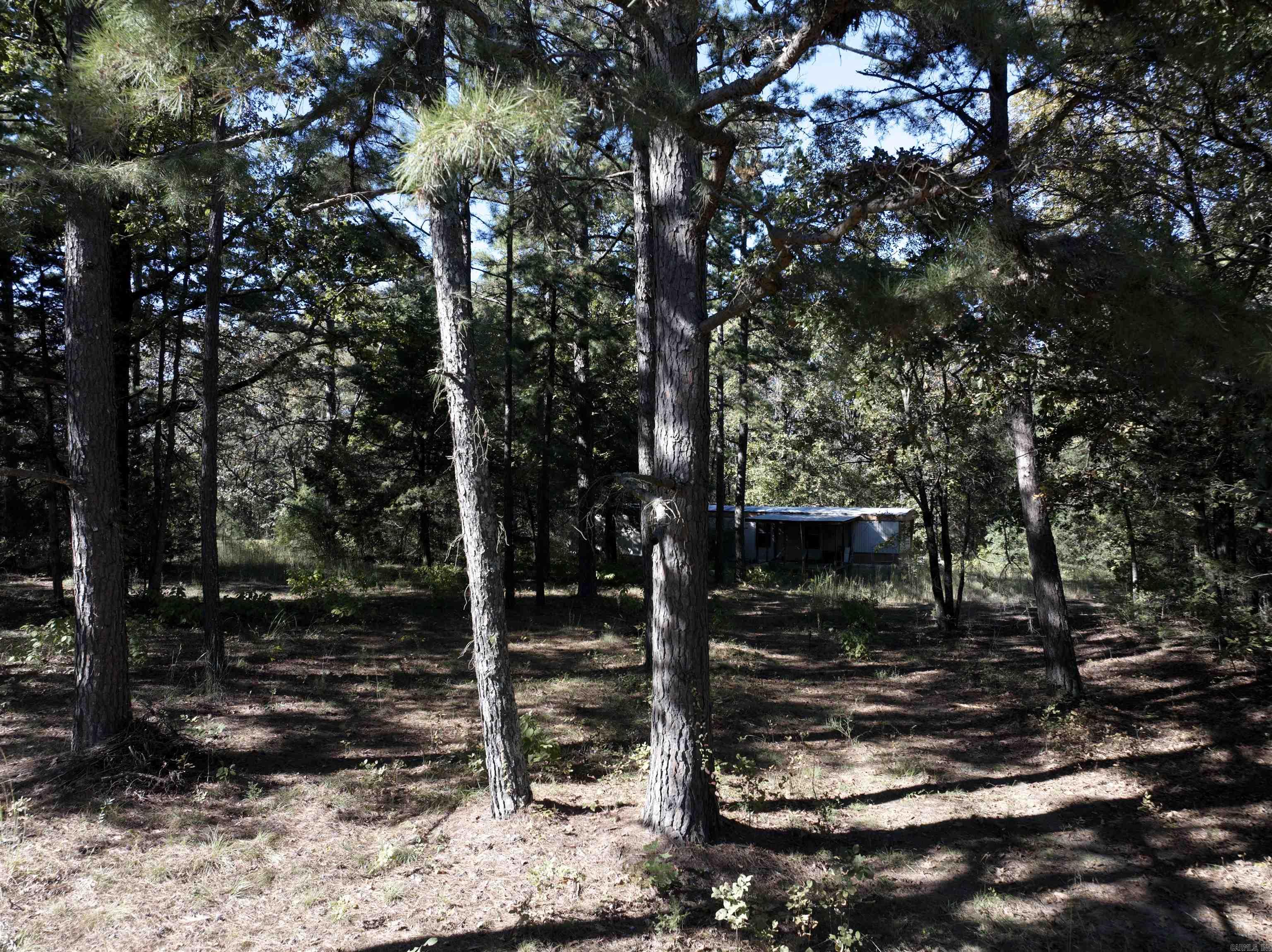 Shiloh Estate - Land