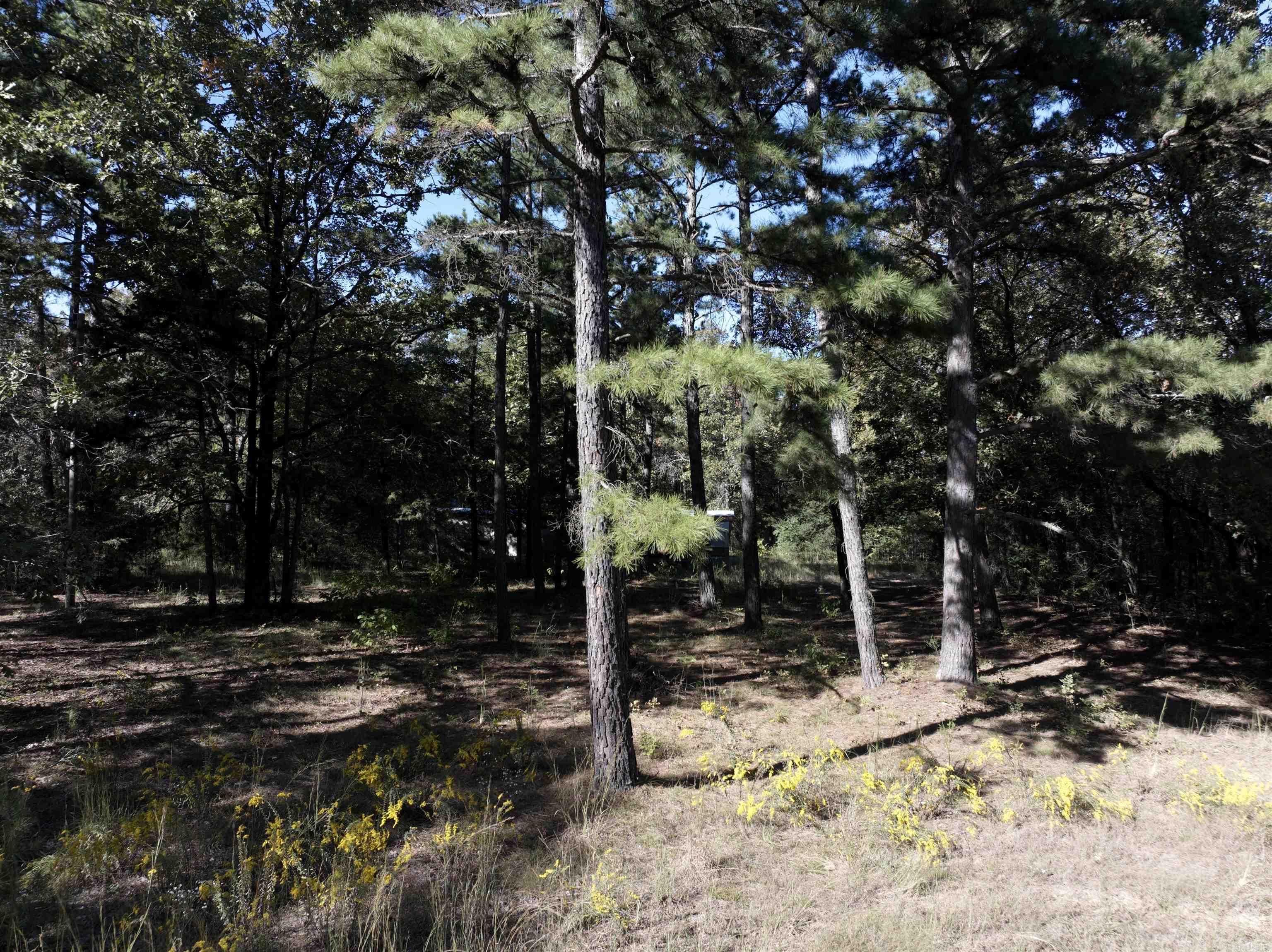 Shiloh Estate - Land